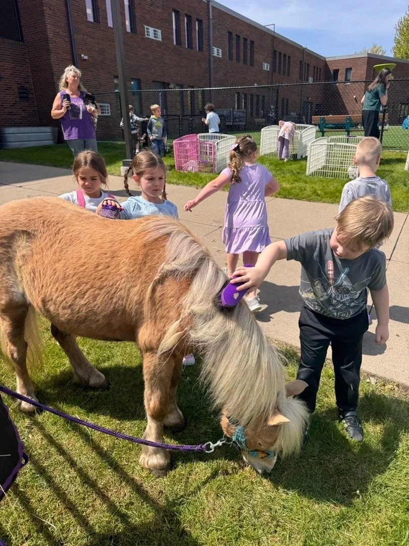 Children petting a small pony in a grassy area outside a brick building on a sunny day, with adults supervising and children playing in the background.