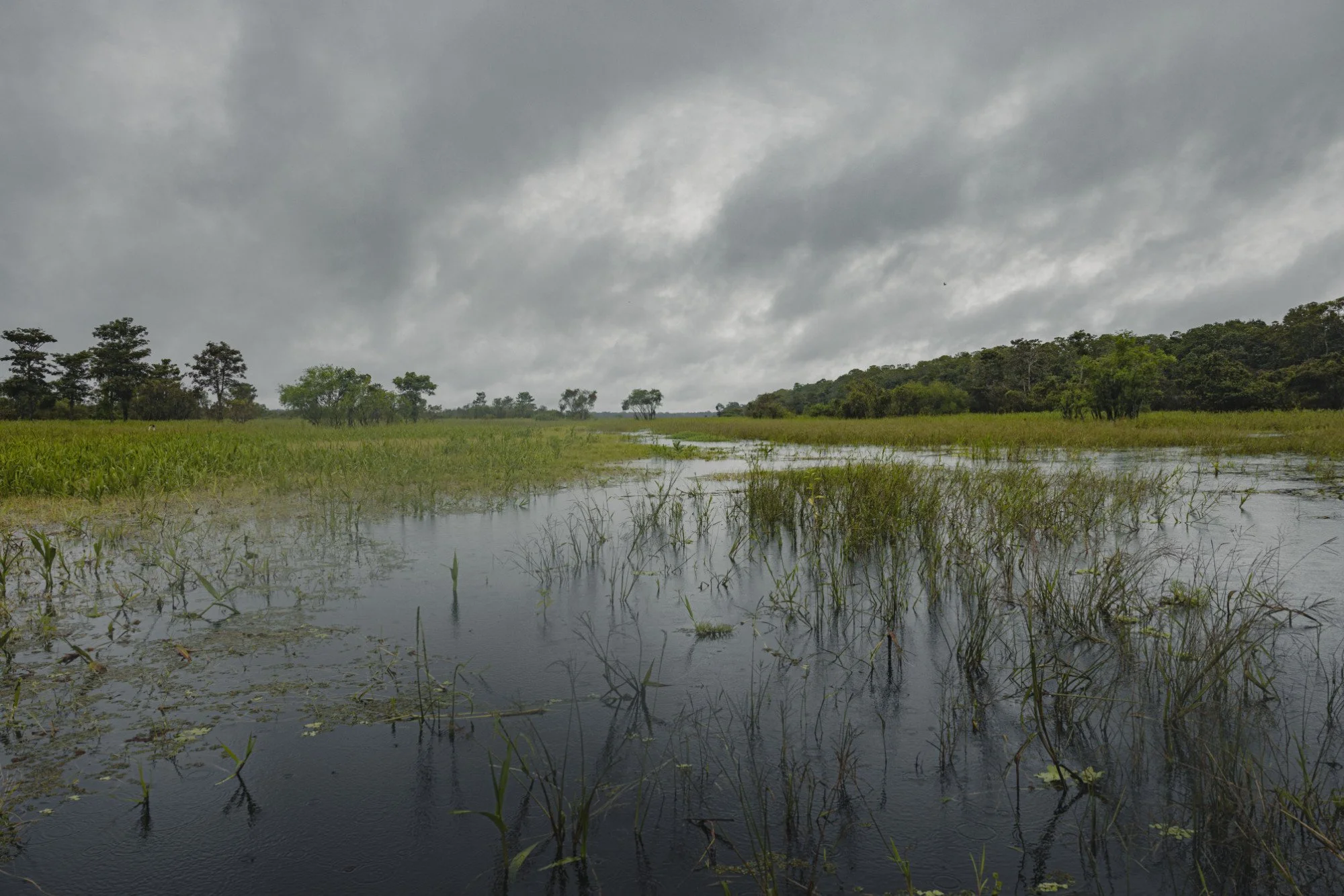 Flache Flusslandschaft unter schwerem, bewölktem Himmel.