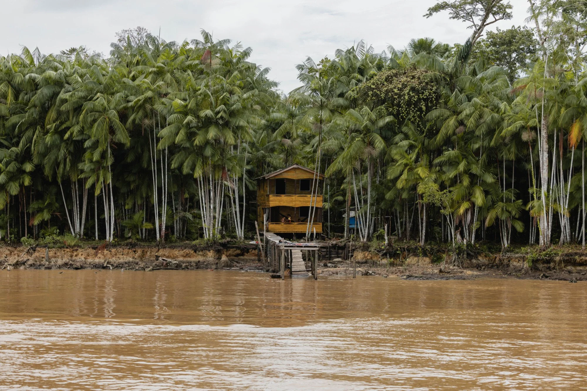 Holzhaus am Flussufer umgeben von dichtem tropischem Wald.