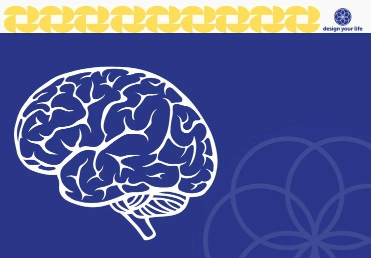 upgrade your brain’s algorithm