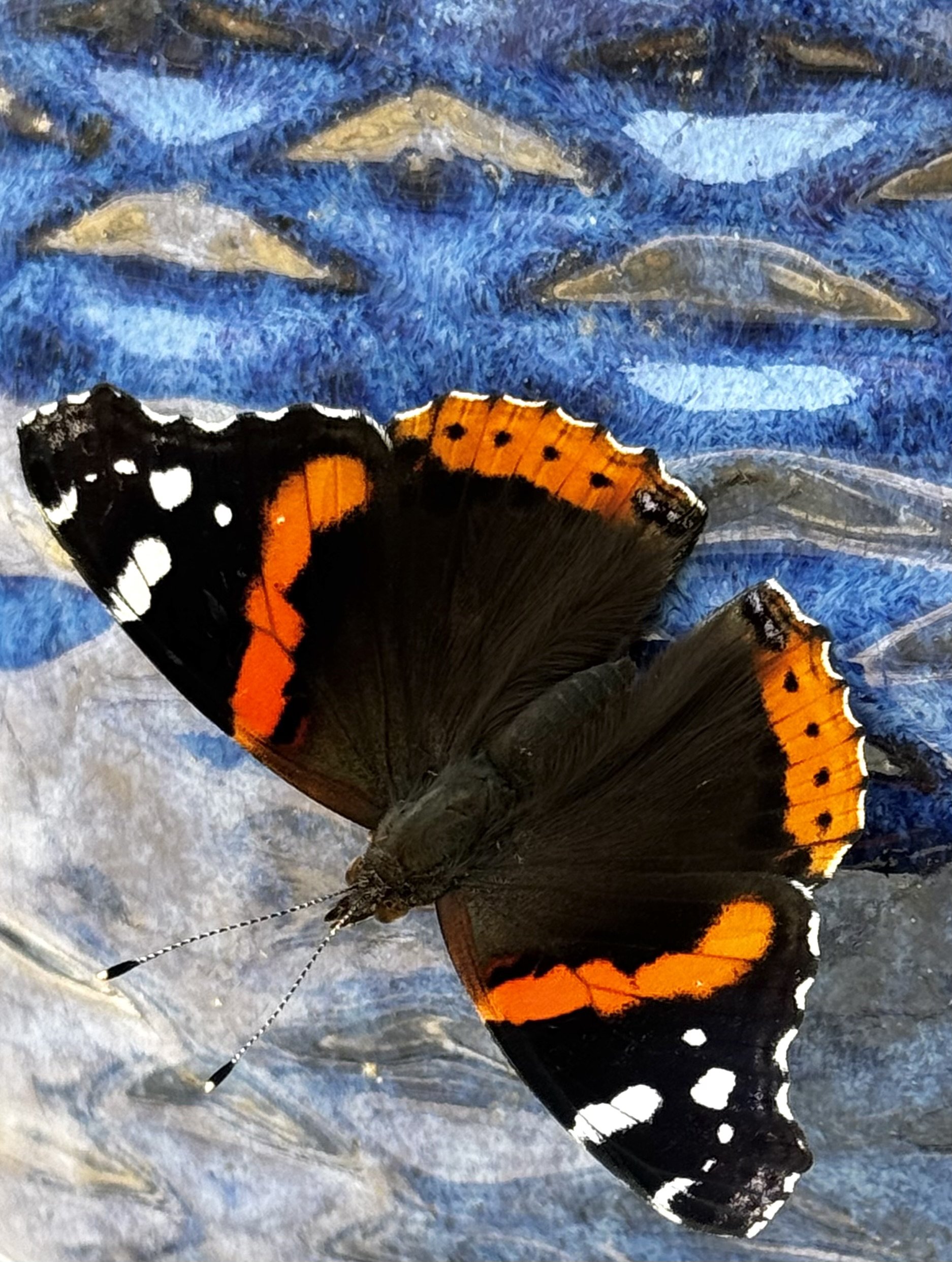 Photo by Suzanne Garr