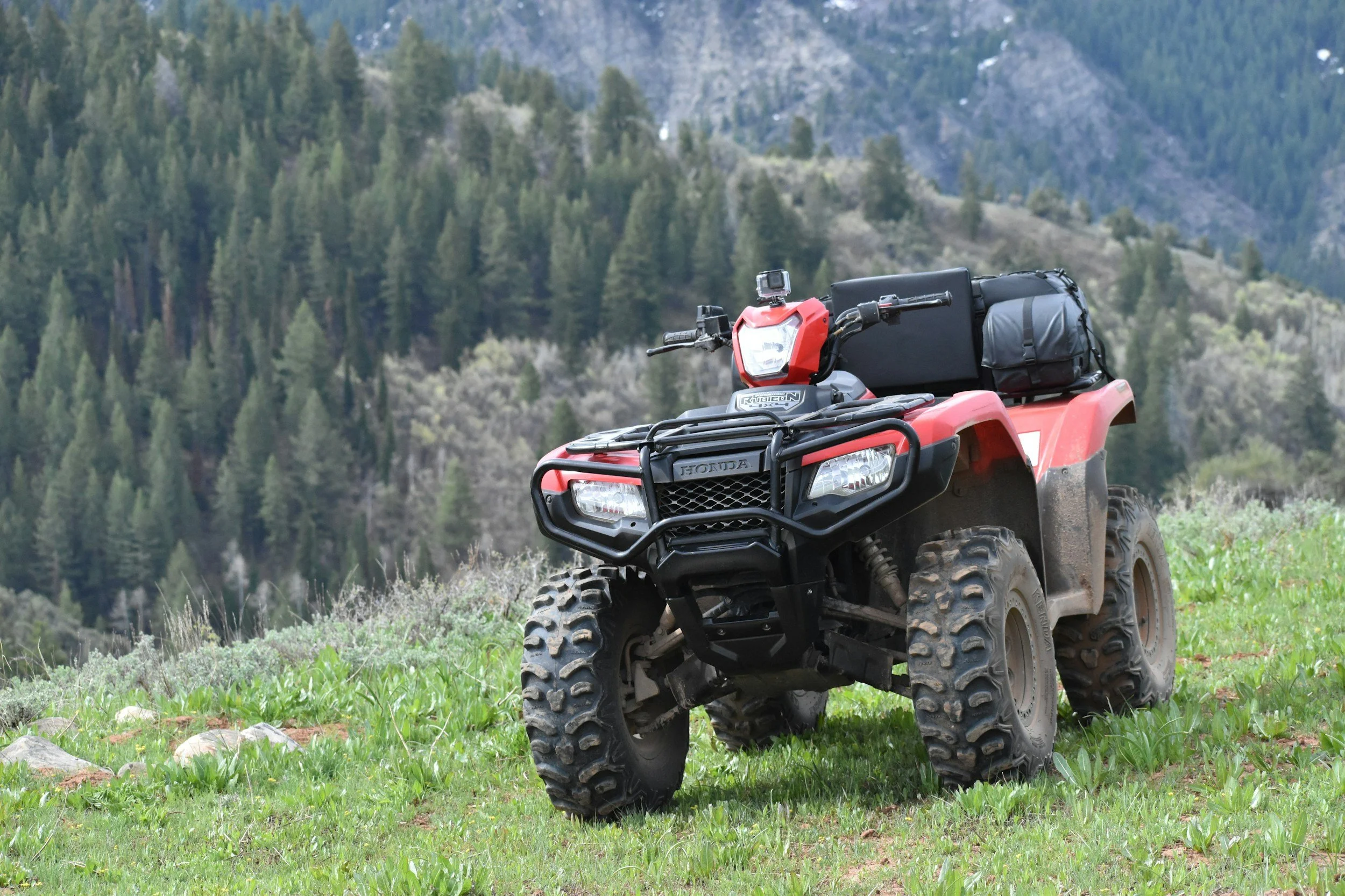Red Honda four-wheeler ATV parked on a grassy hill with a forested mountain landscape in the background.