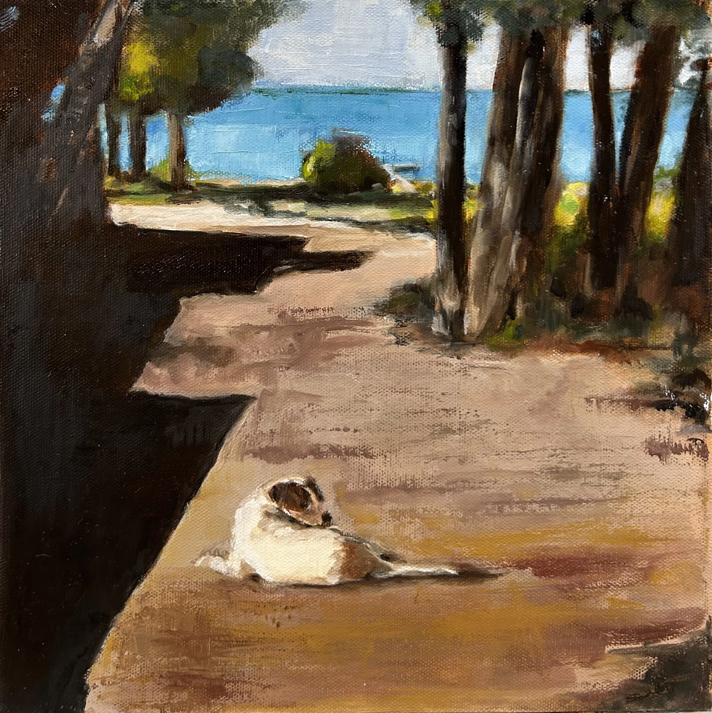 Obie's Afternoon | Oil on canvas | 12" x 12" | $300