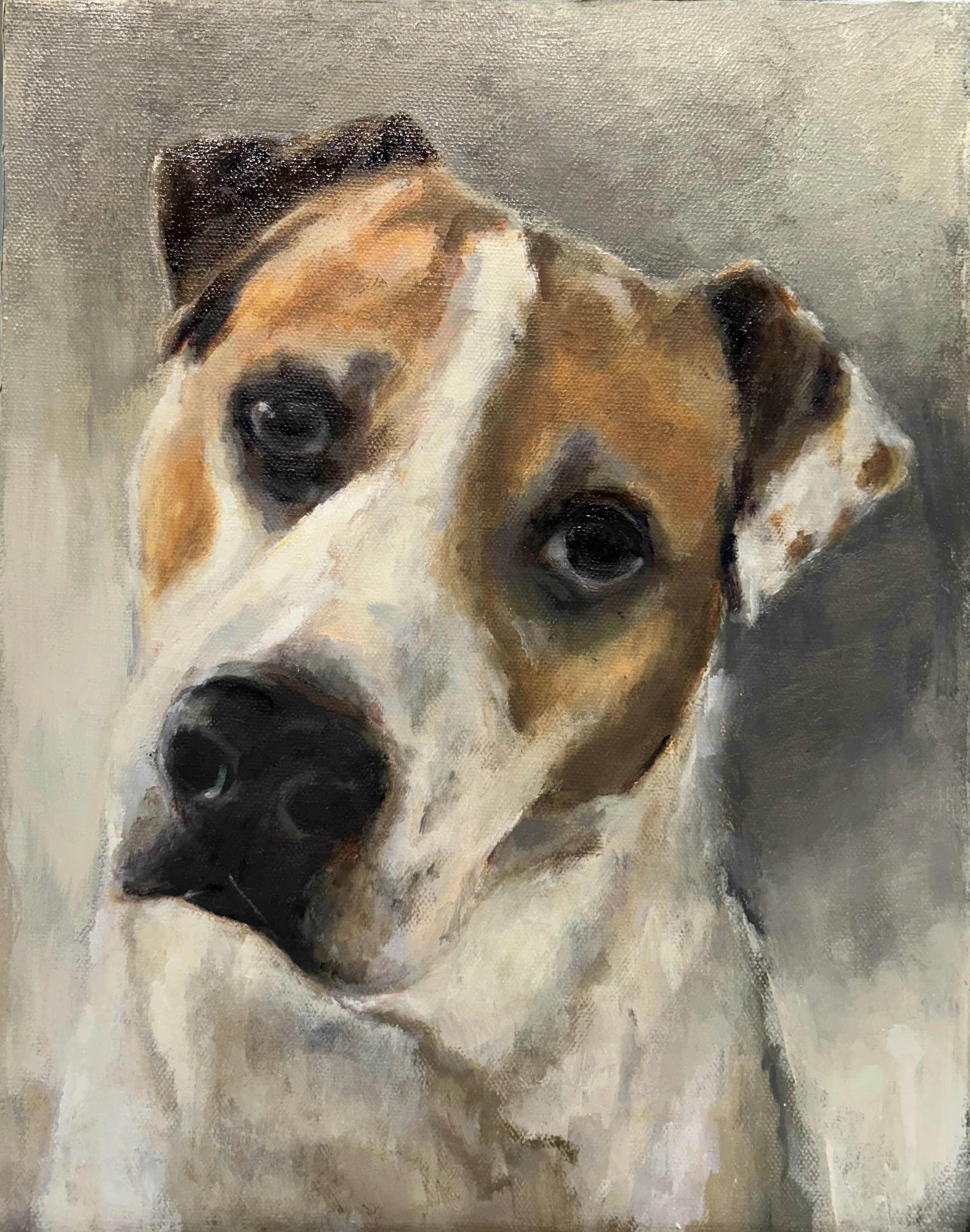 That Look | Oil on canvas | 11"x14" | $400