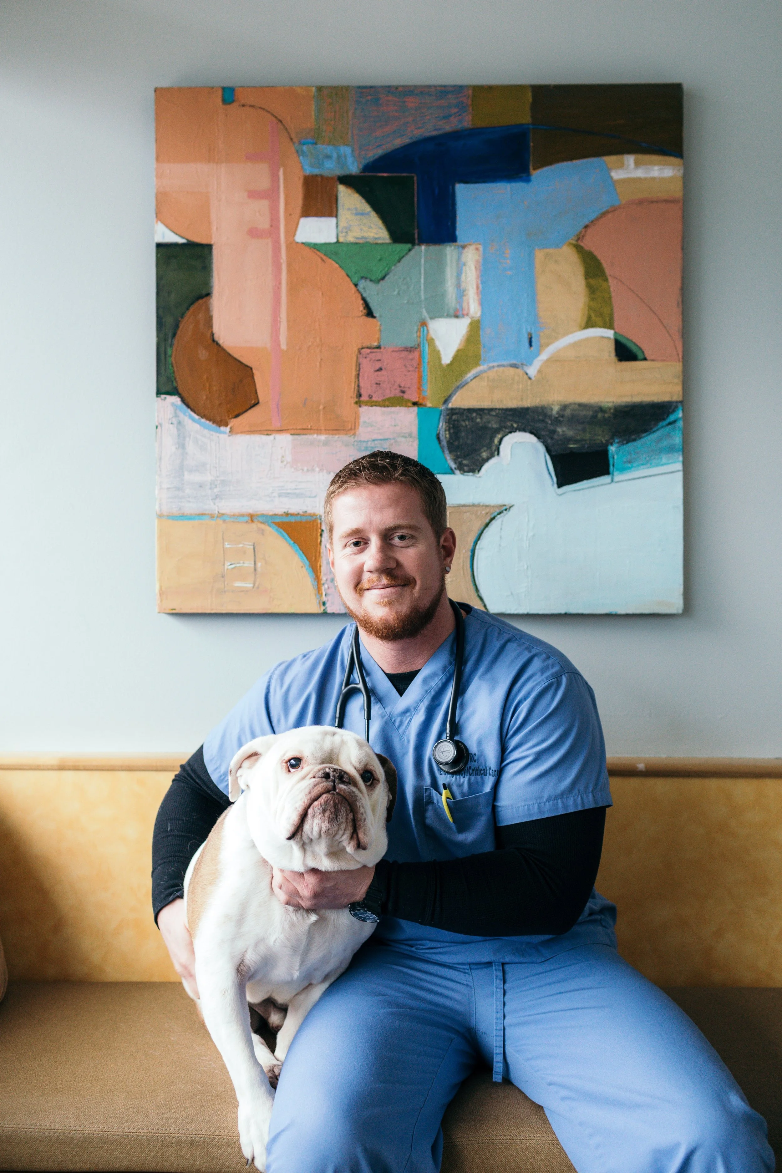 A male veterinarian wearing blue scrubs and a stethoscope around his neck, sitting on a bench and holding a bulldog in his lap. There is a colorful abstract painting on the wall behind him.