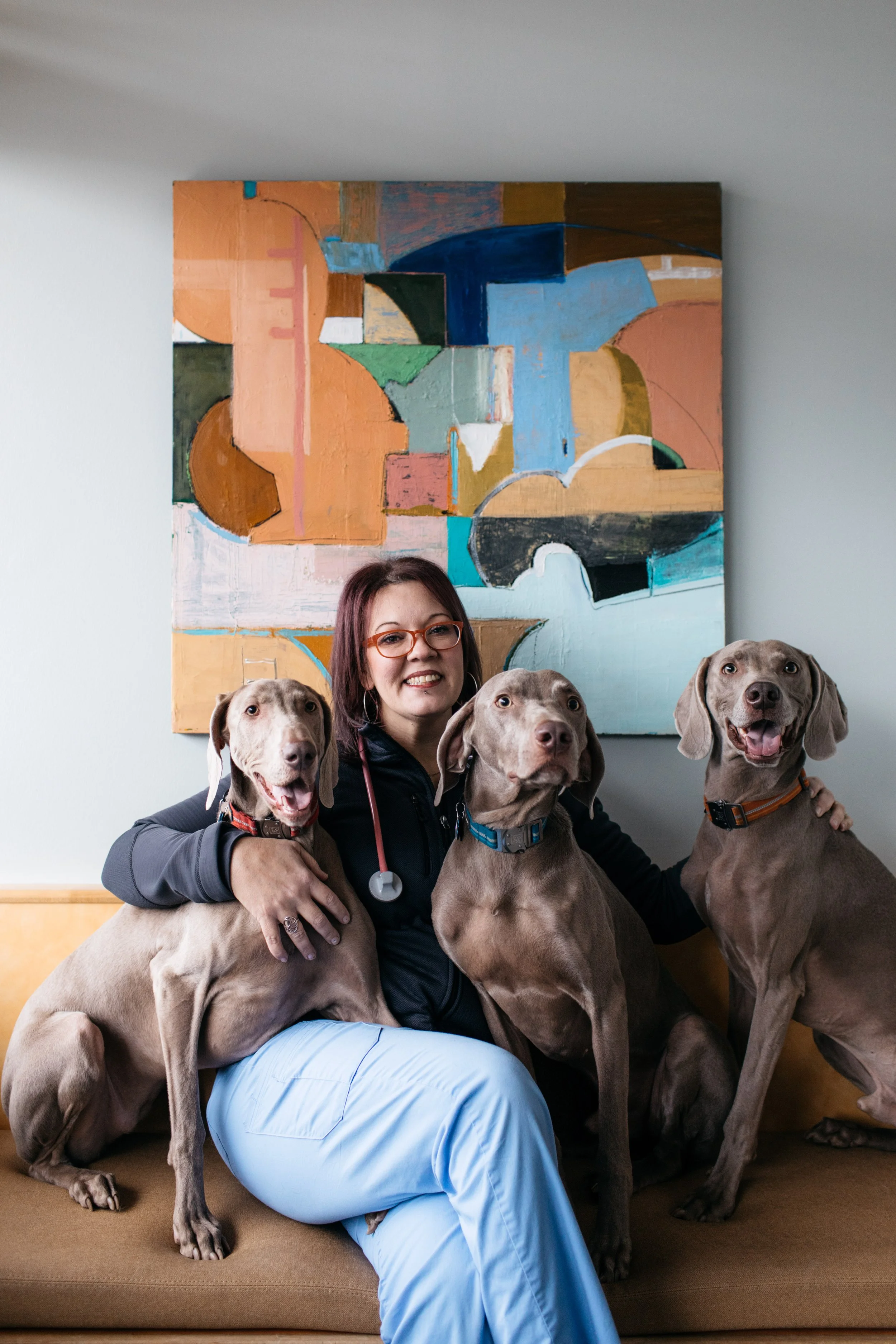 A woman in scrubs with a stethoscope and glasses is sitting on a bench, surrounded by four large grey dogs with floppy ears and collar.