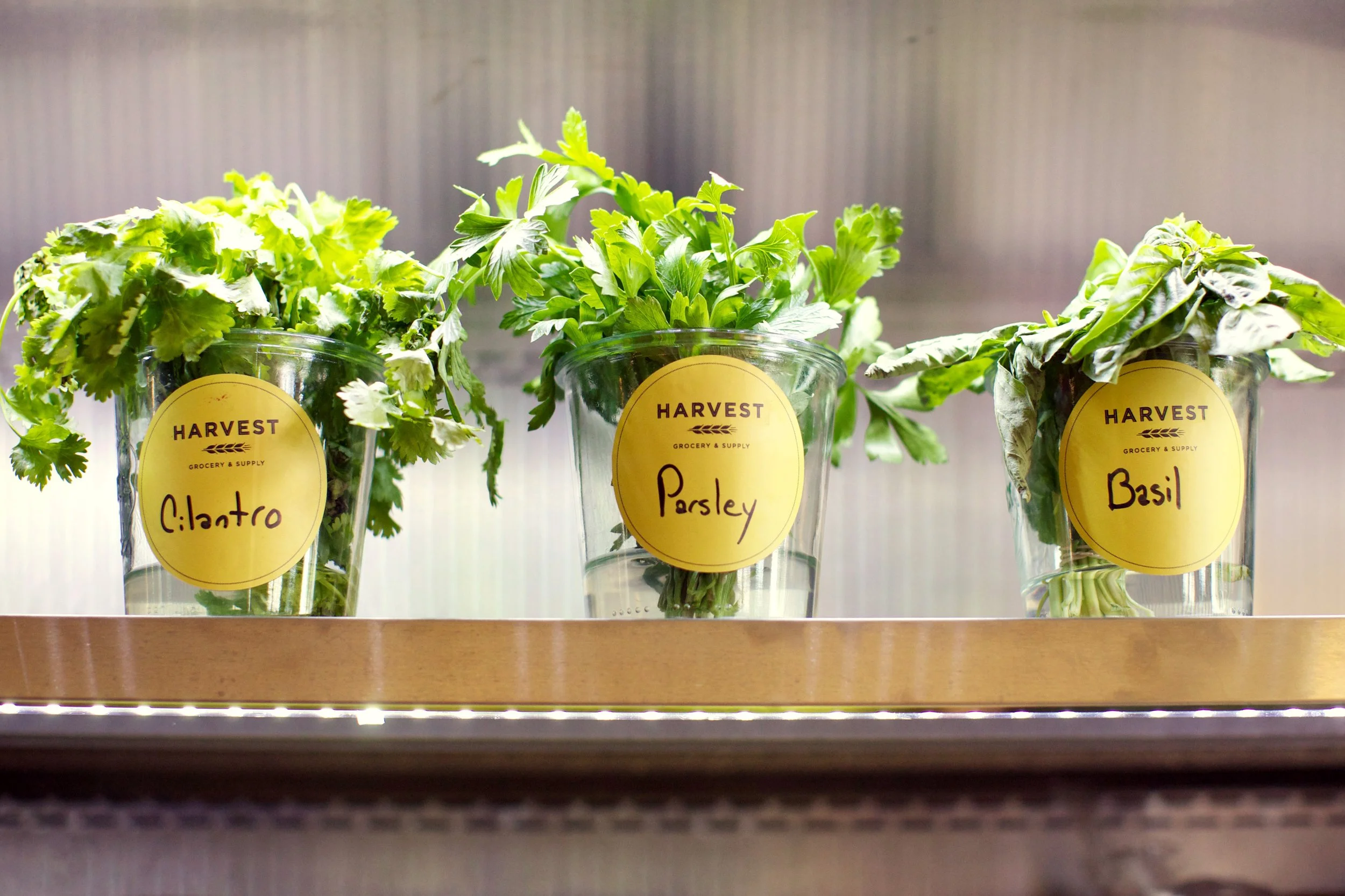 Three glass jars labeled cilantro, parsley, and basil with fresh herbs inside, placed on a shelf.