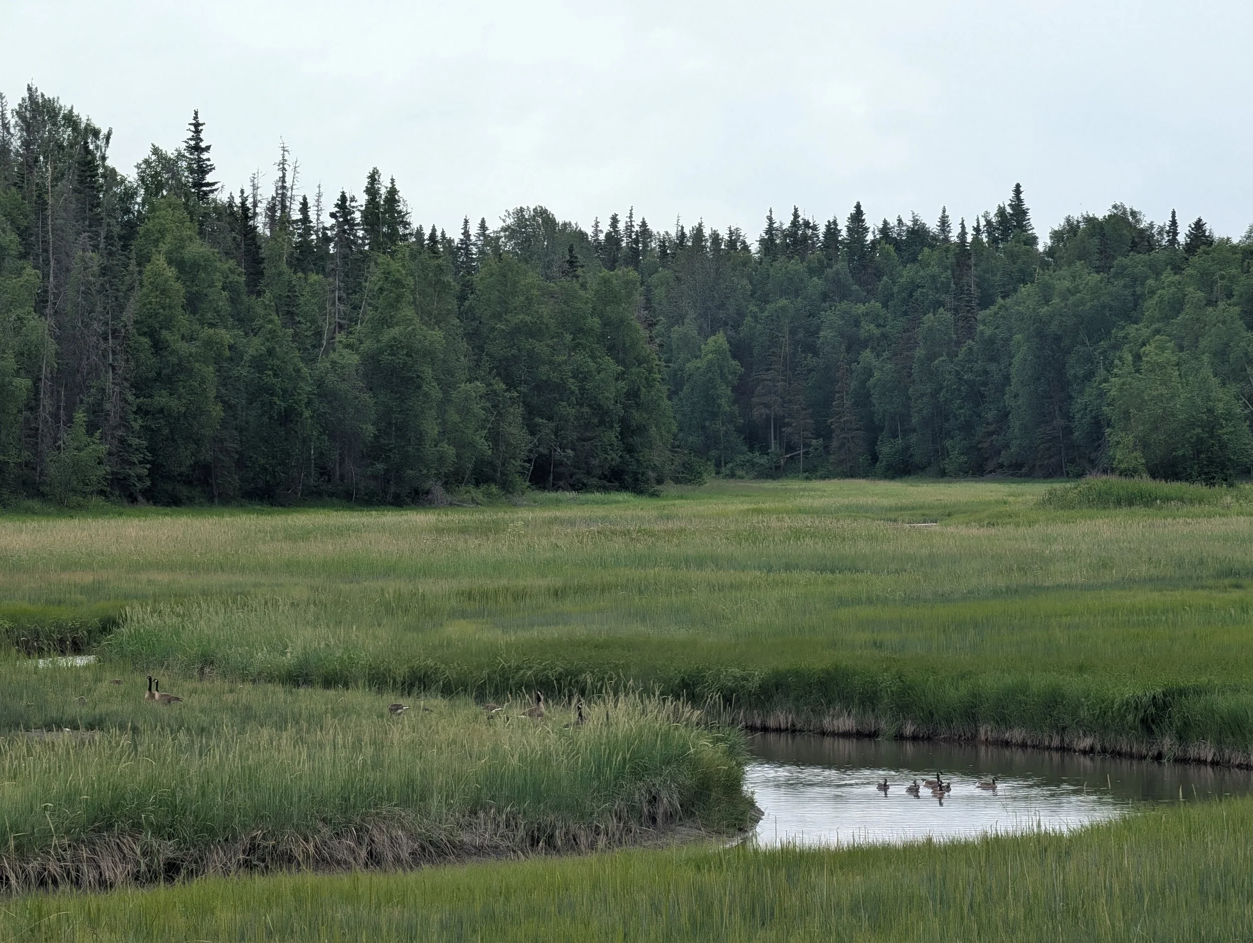 PXL_20260711_231837849.jpg