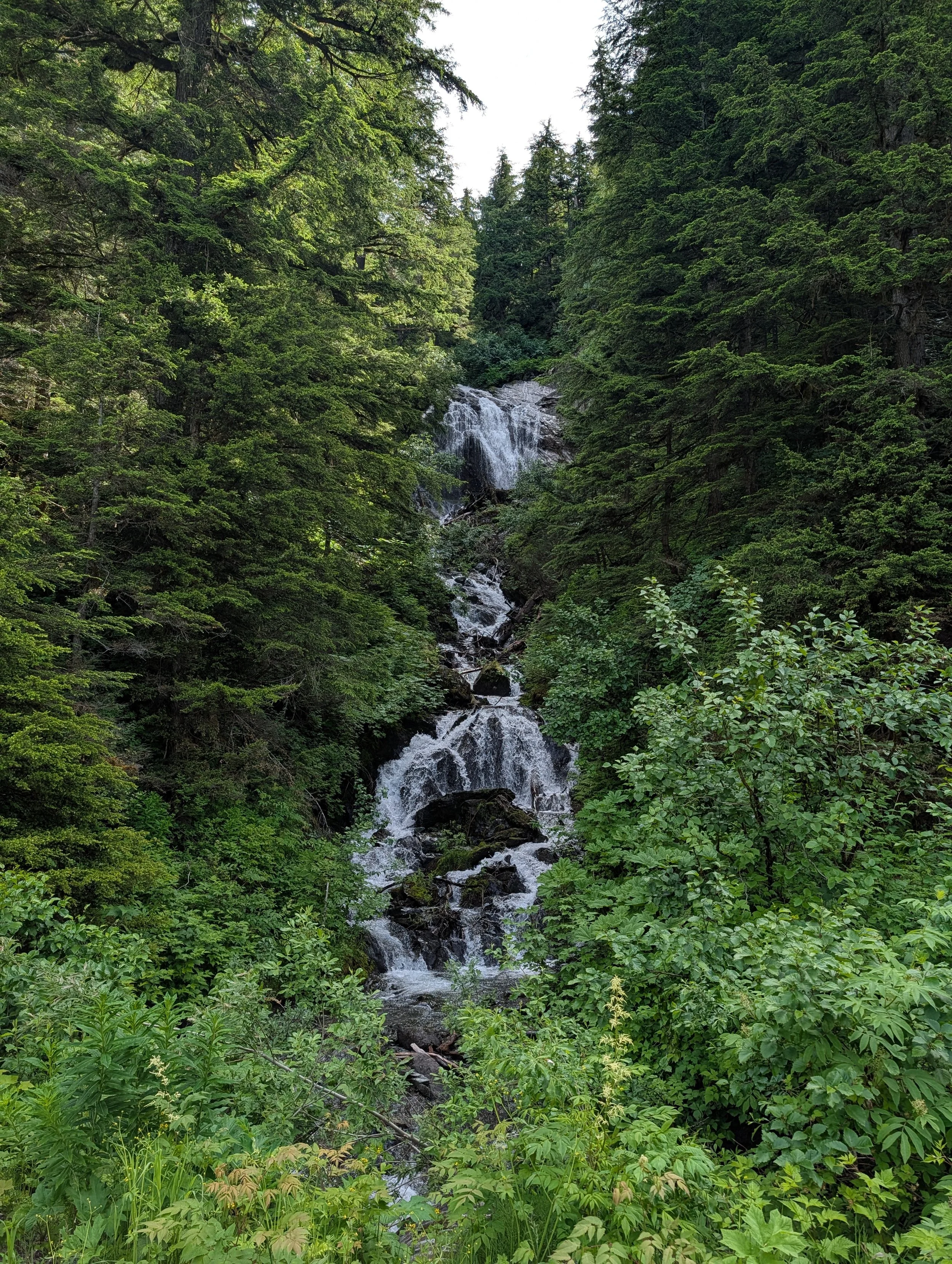 PXL_20260702_194605565.jpg