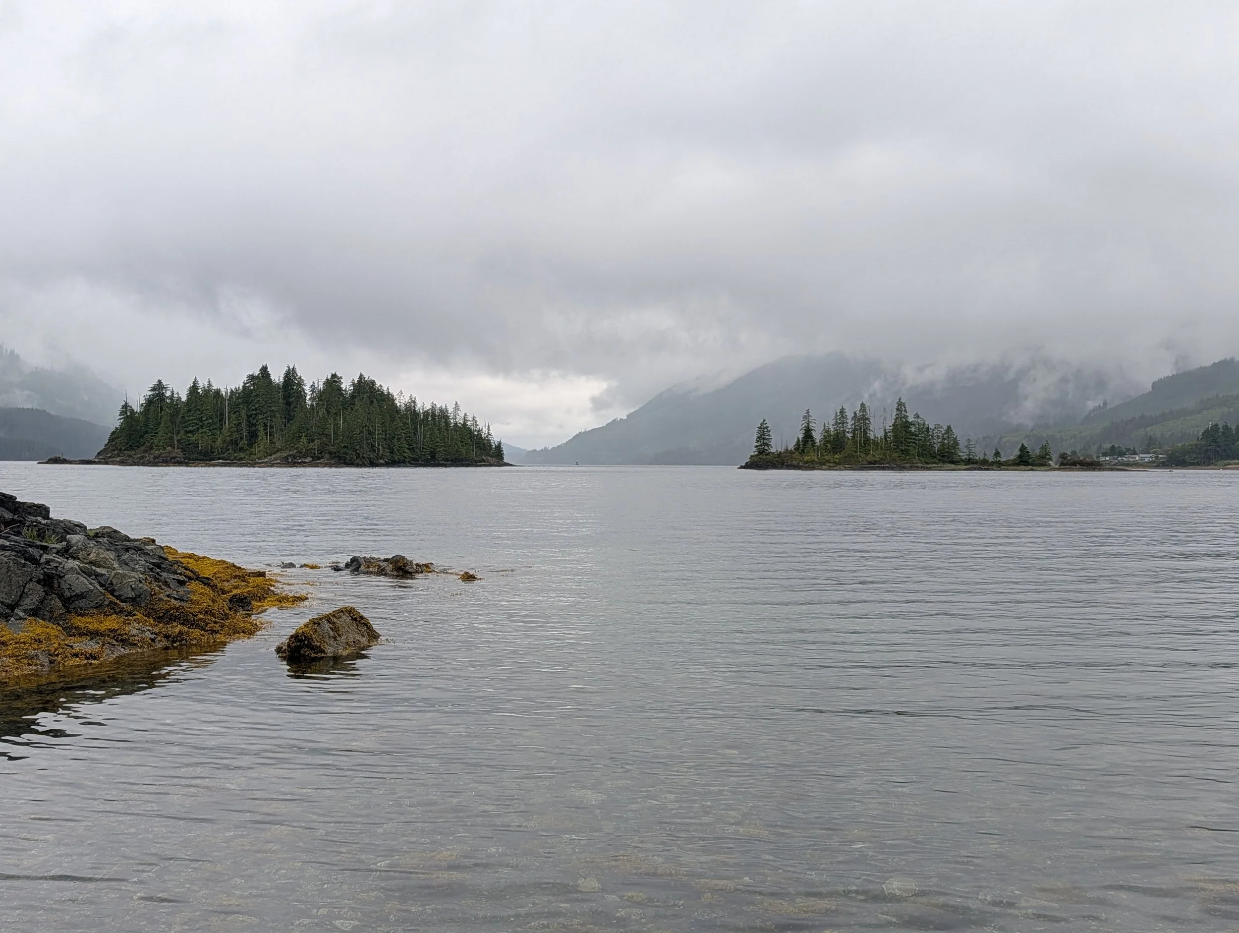 PXL_20260626_211644956.jpg
