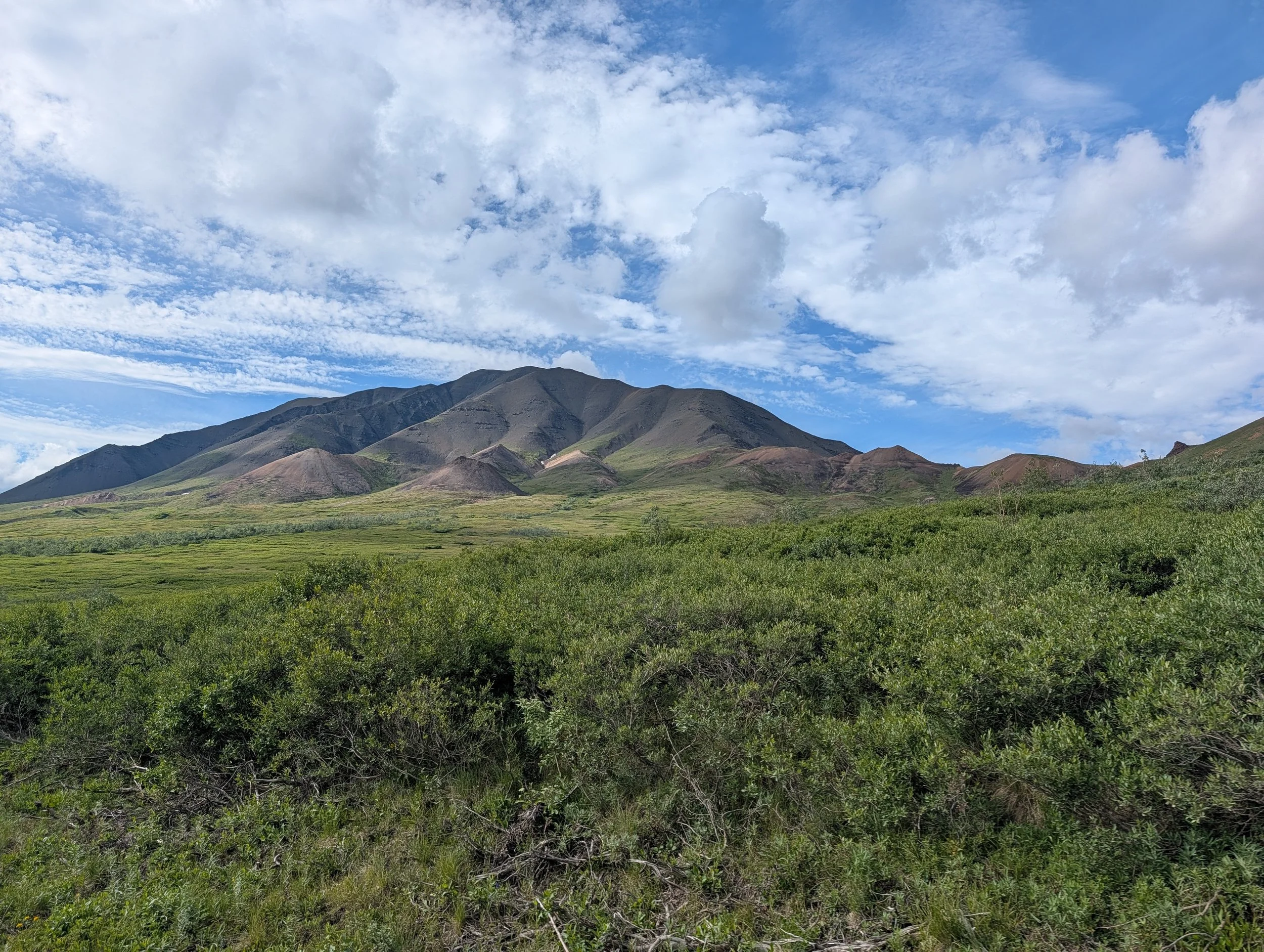 PXL_20260726_313116350.jpg