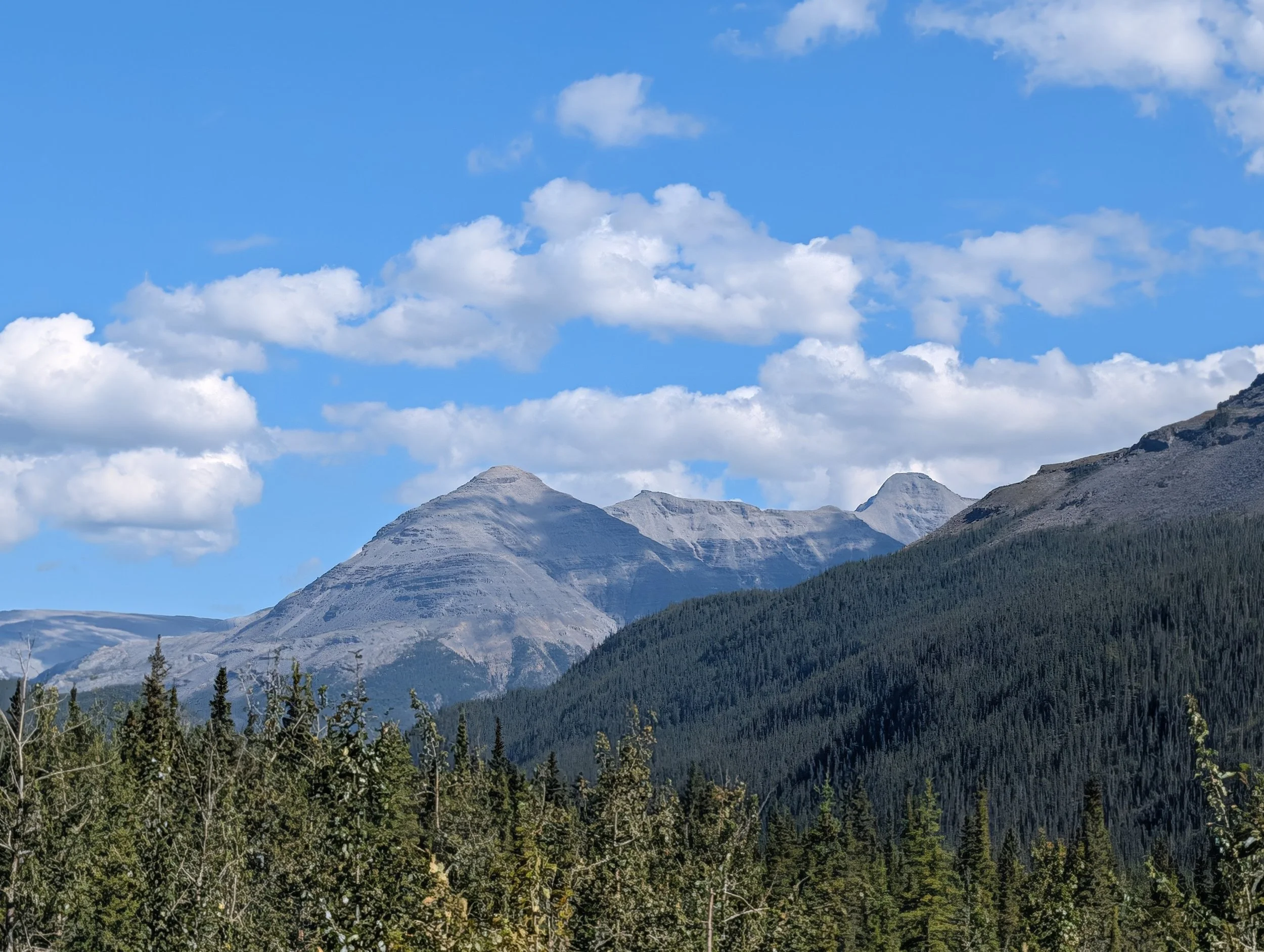 PXL_20260820_215702104.jpg