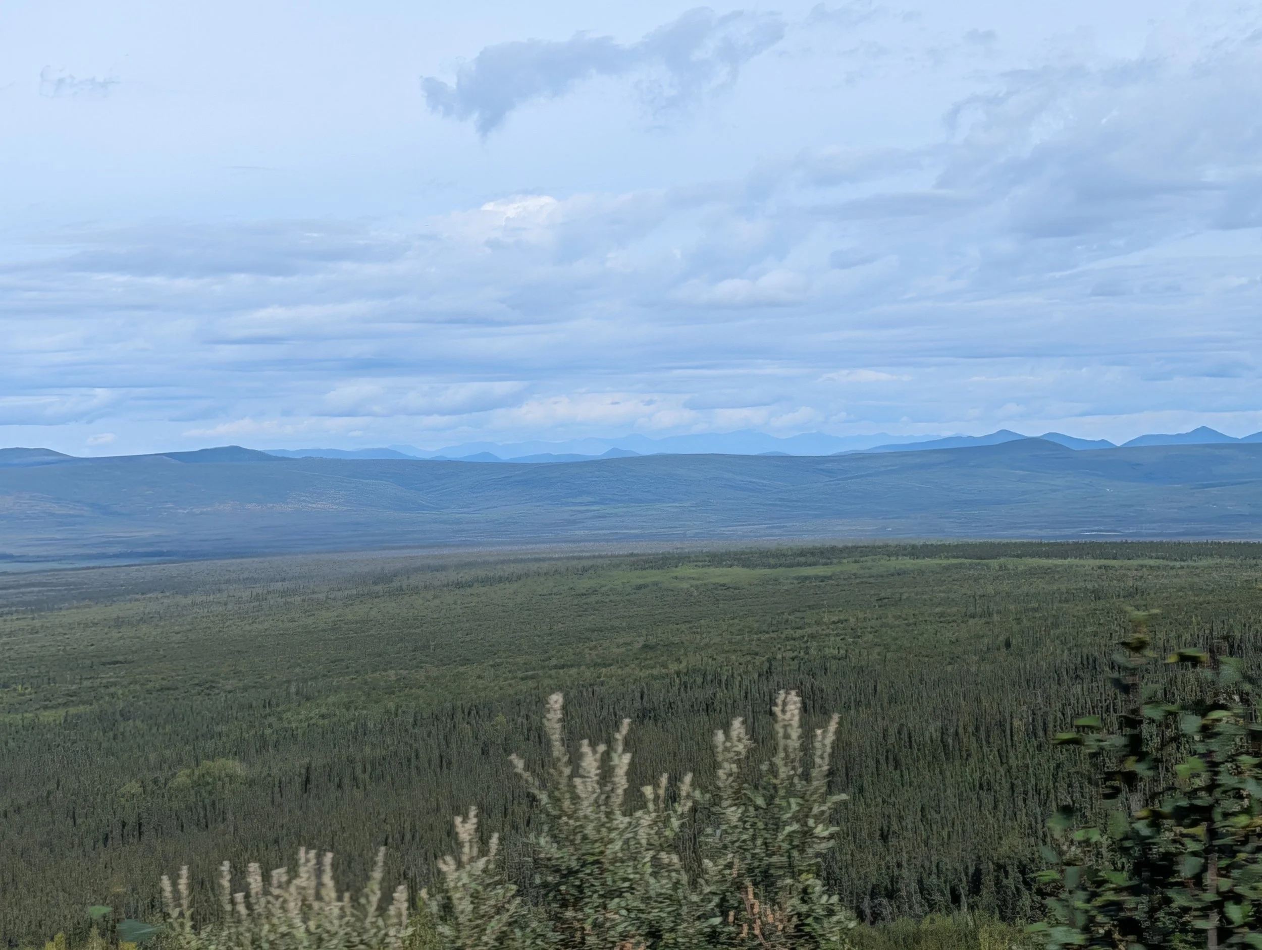 PXL_20260801_204042450.jpg