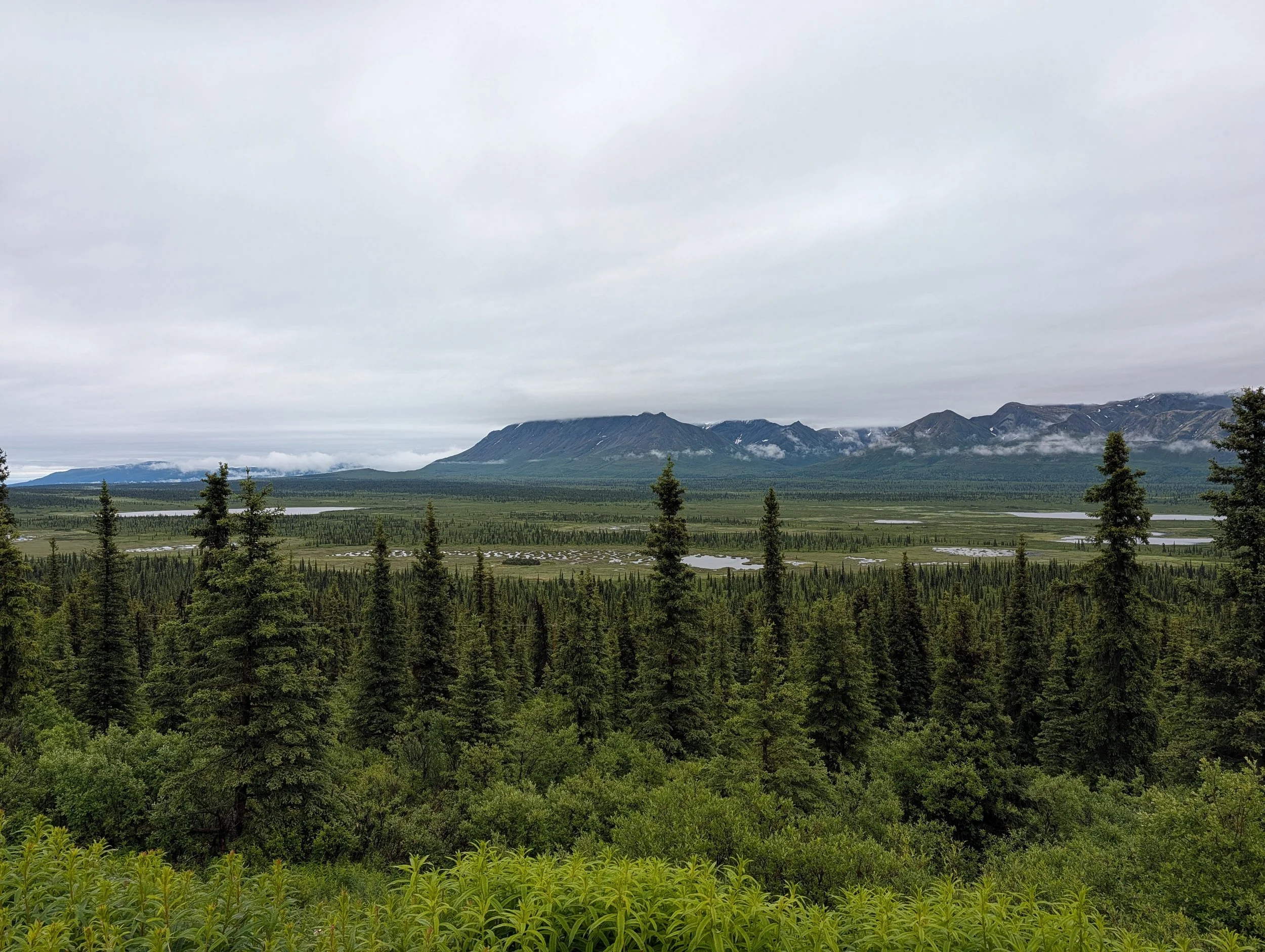 PXL_20260709_214526273.jpg