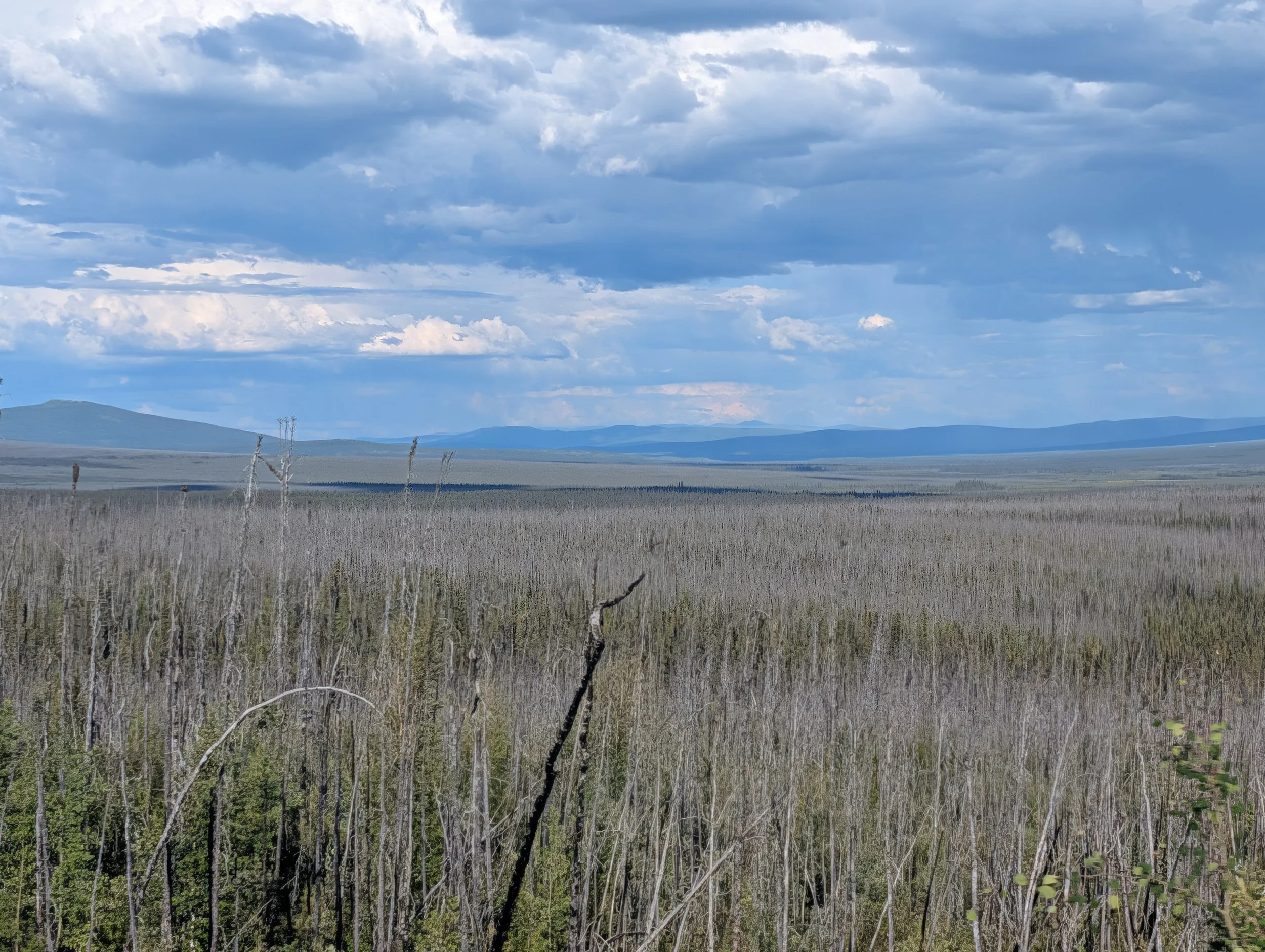 PXL_20260806_321224799.jpg