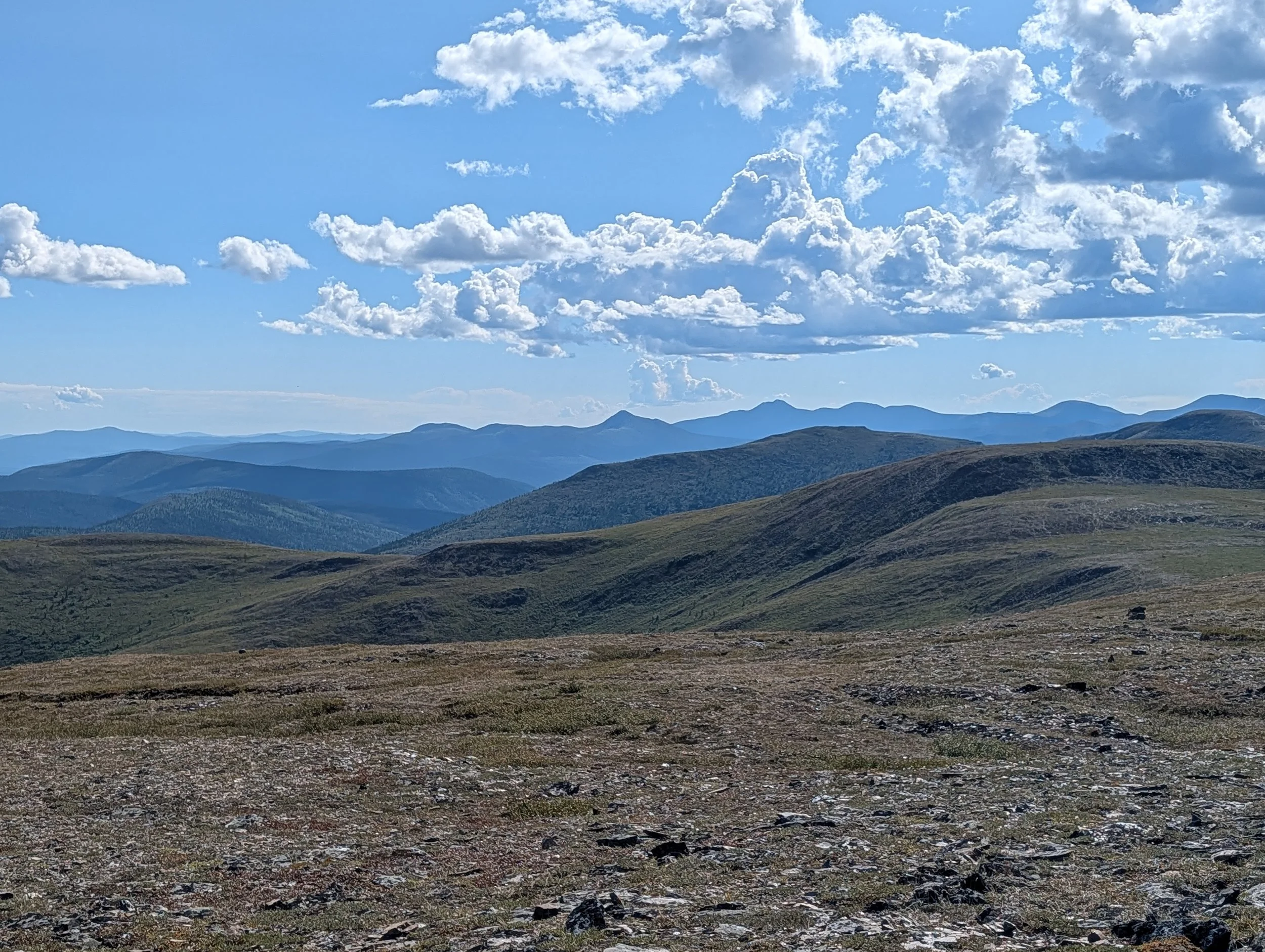 PXL_20260807_193739115.jpg