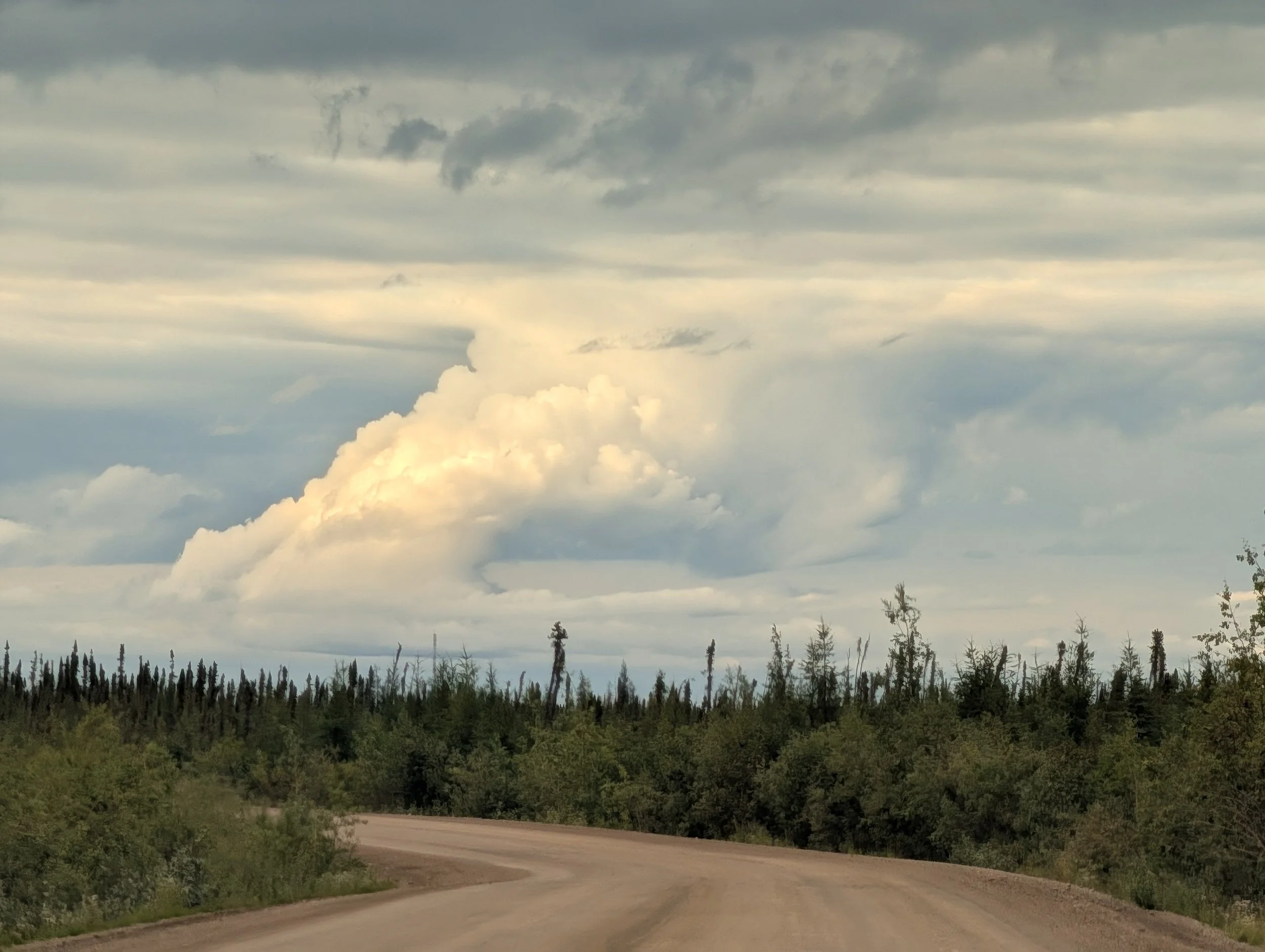 PXL_20260808_320807616.jpg