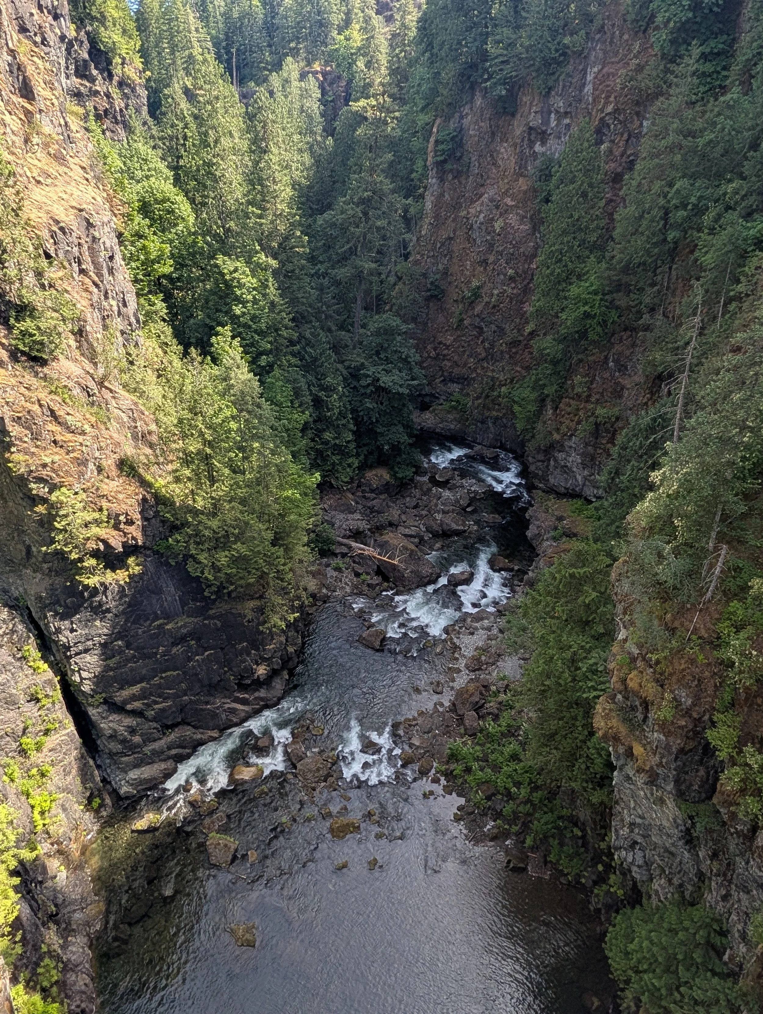 PXL_20260622_173555373.jpg