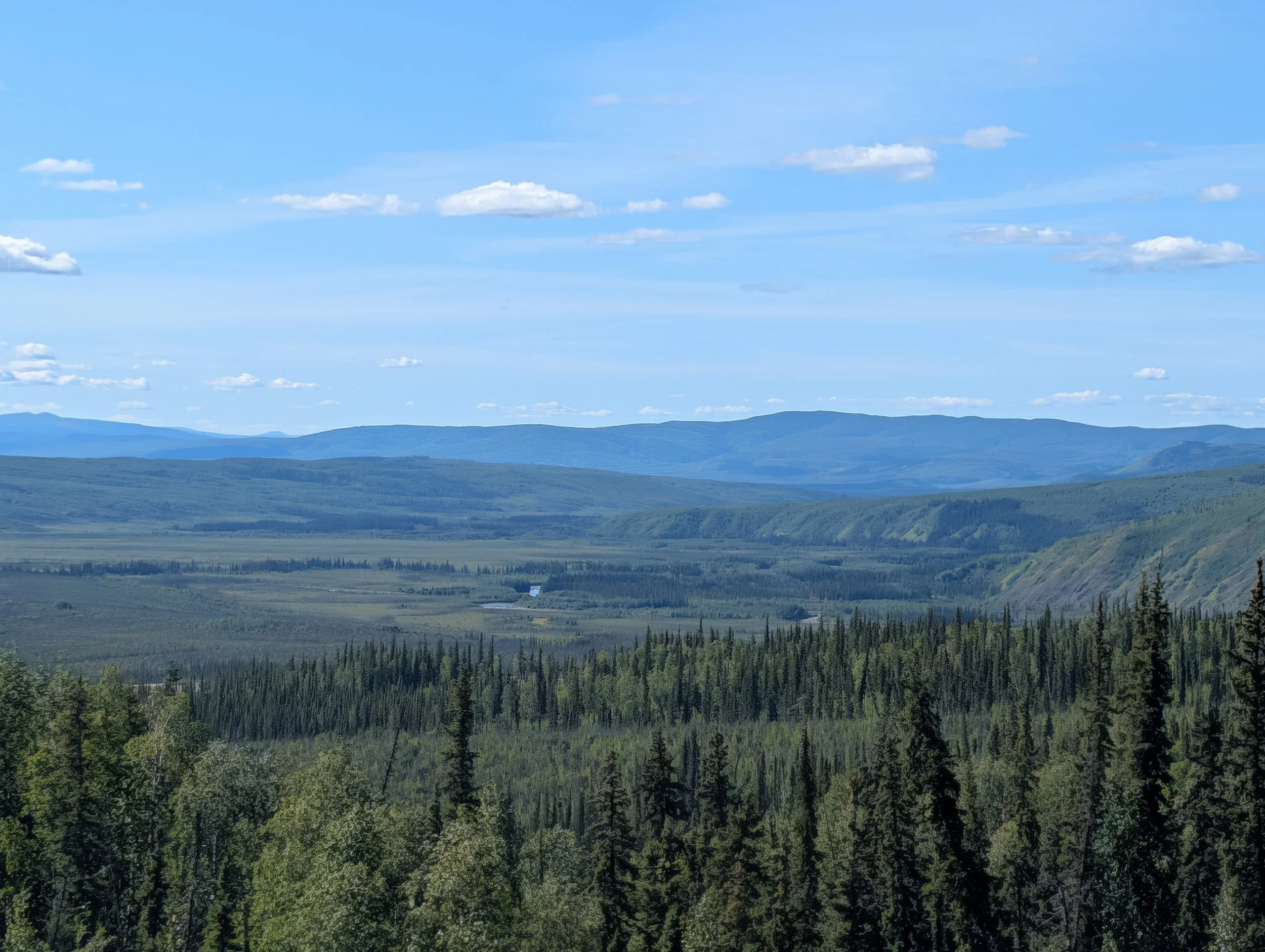 PXL_20260728_302633371.jpg