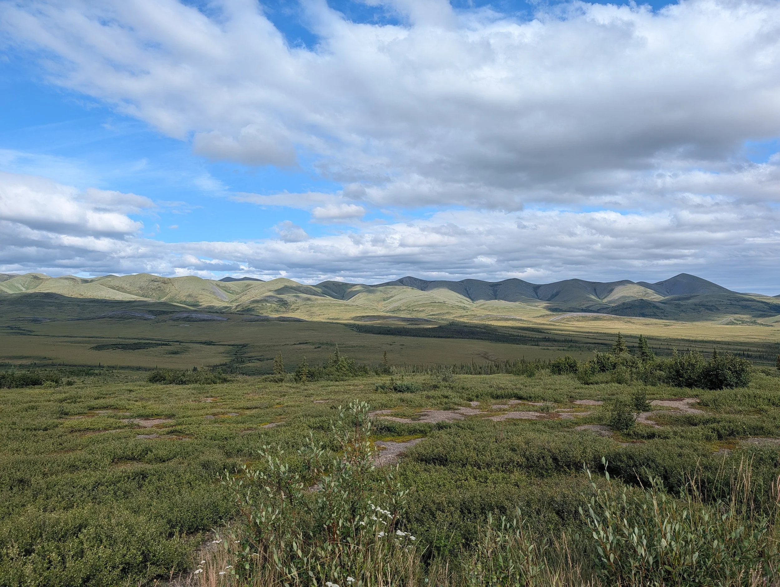 PXL_20260808_234933488.jpg