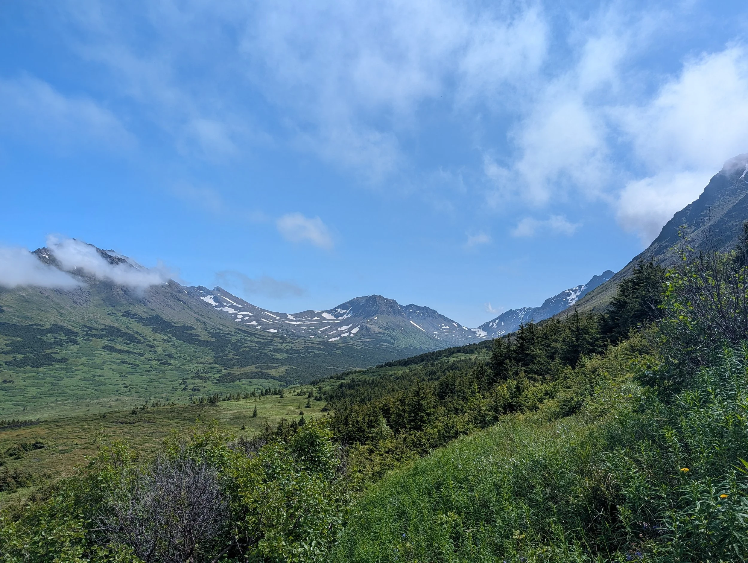 PXL_20260710_221558485.jpg