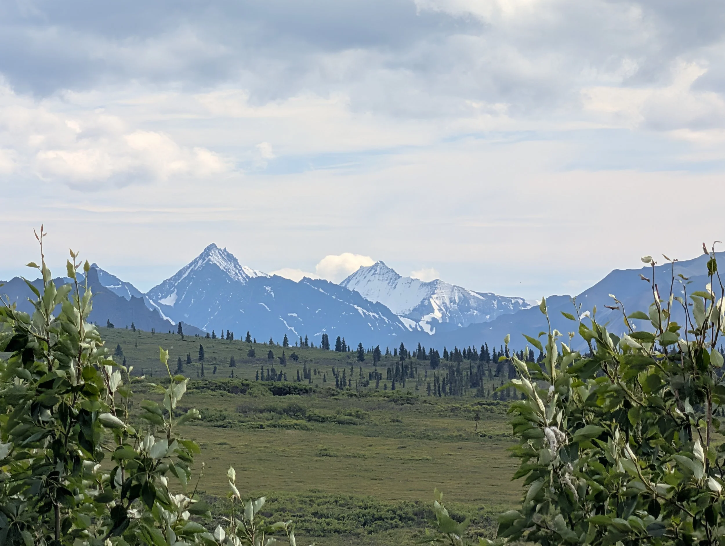 PXL_20260726_300852399.jpg