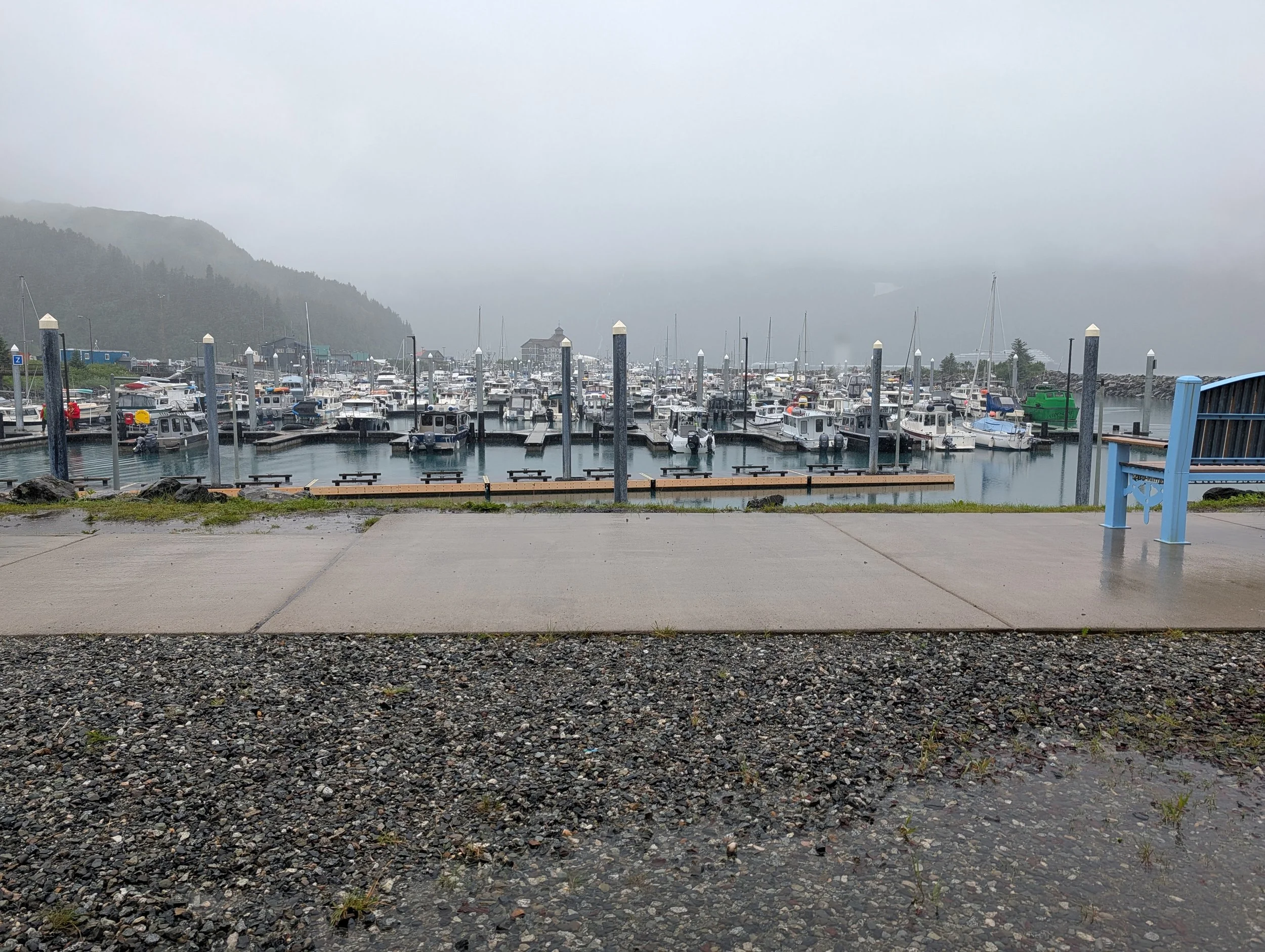PXL_20260713_205008323.jpg