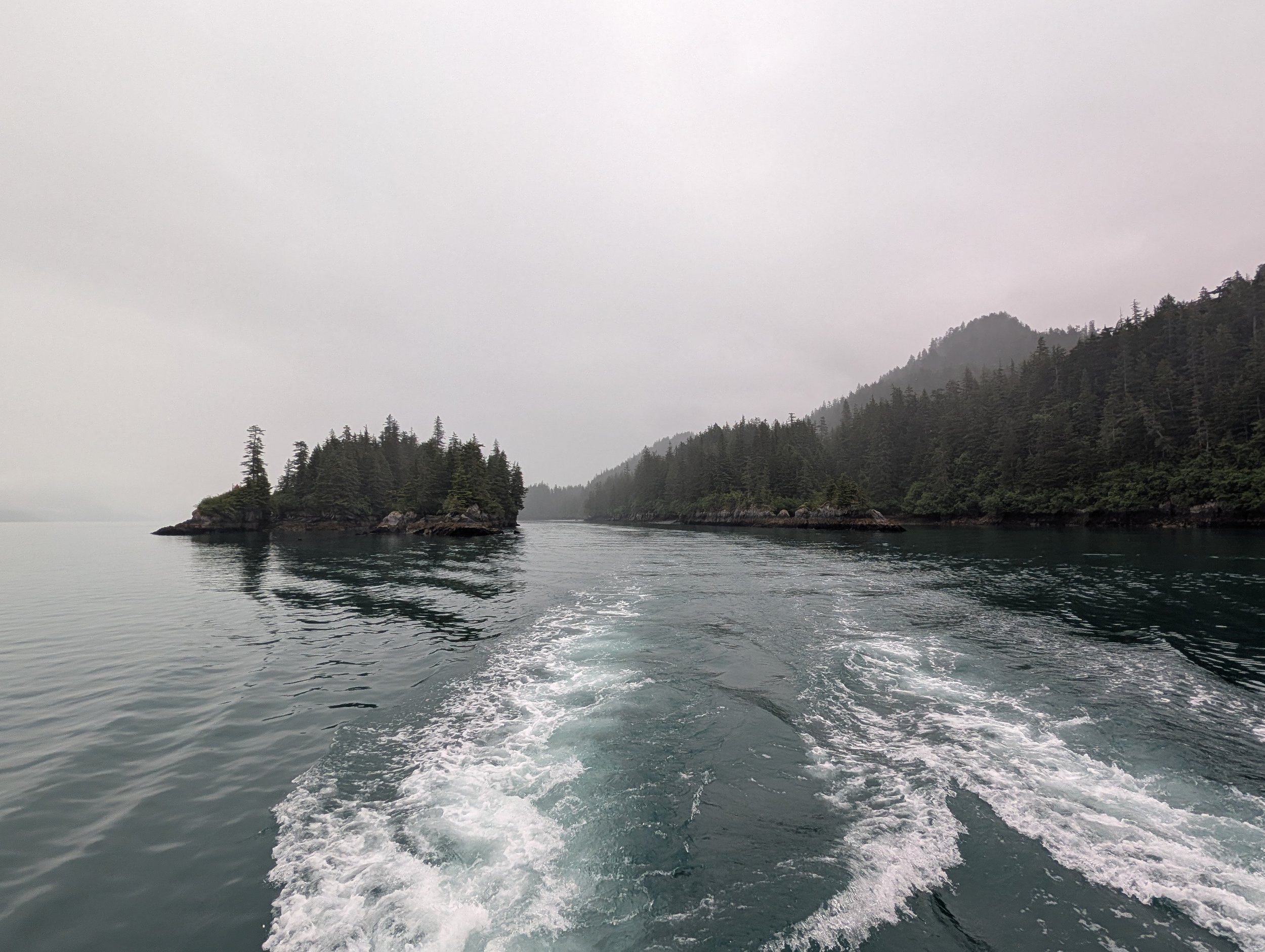 PXL_20260707_191433260.jpg