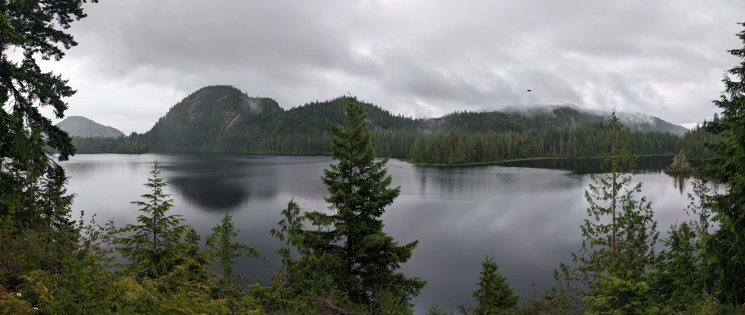 PXL_20260626_222922644.PANO.jpg