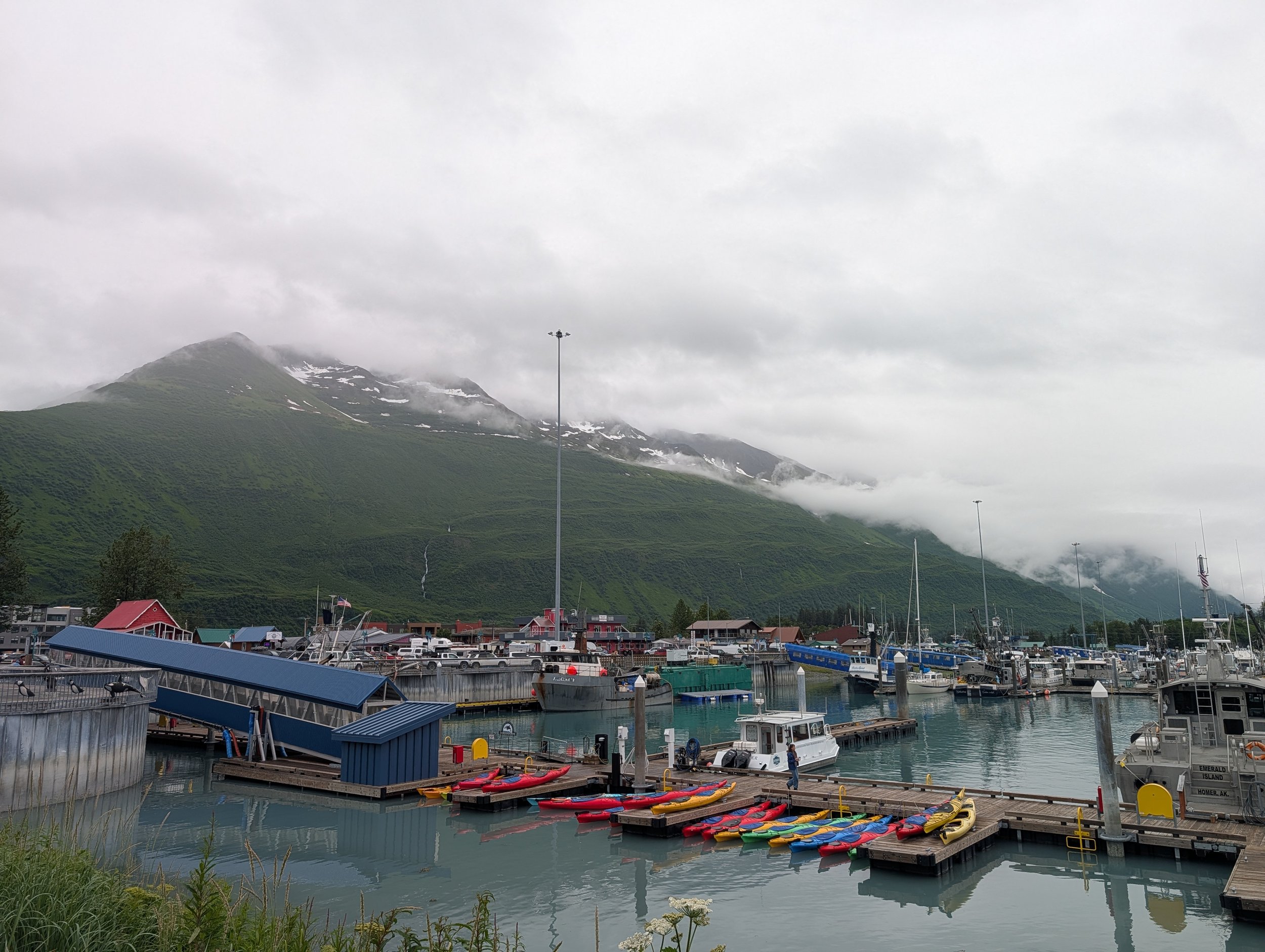 PXL_20260707_310525125.jpg