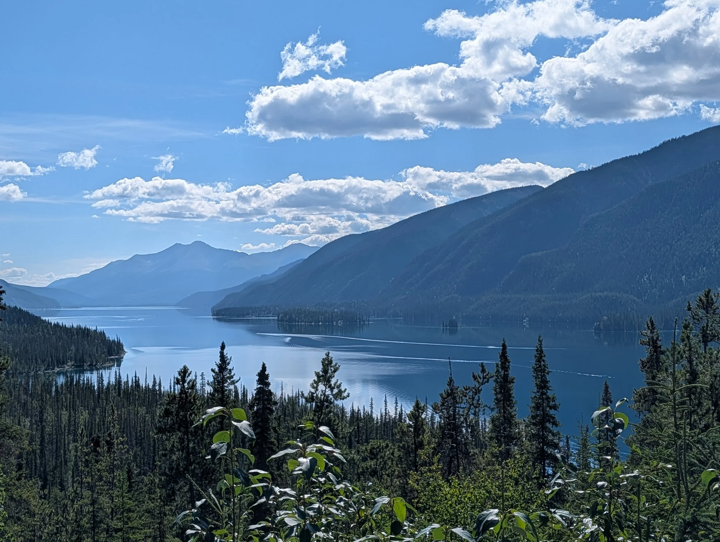 PXL_20260820_211637863.jpg