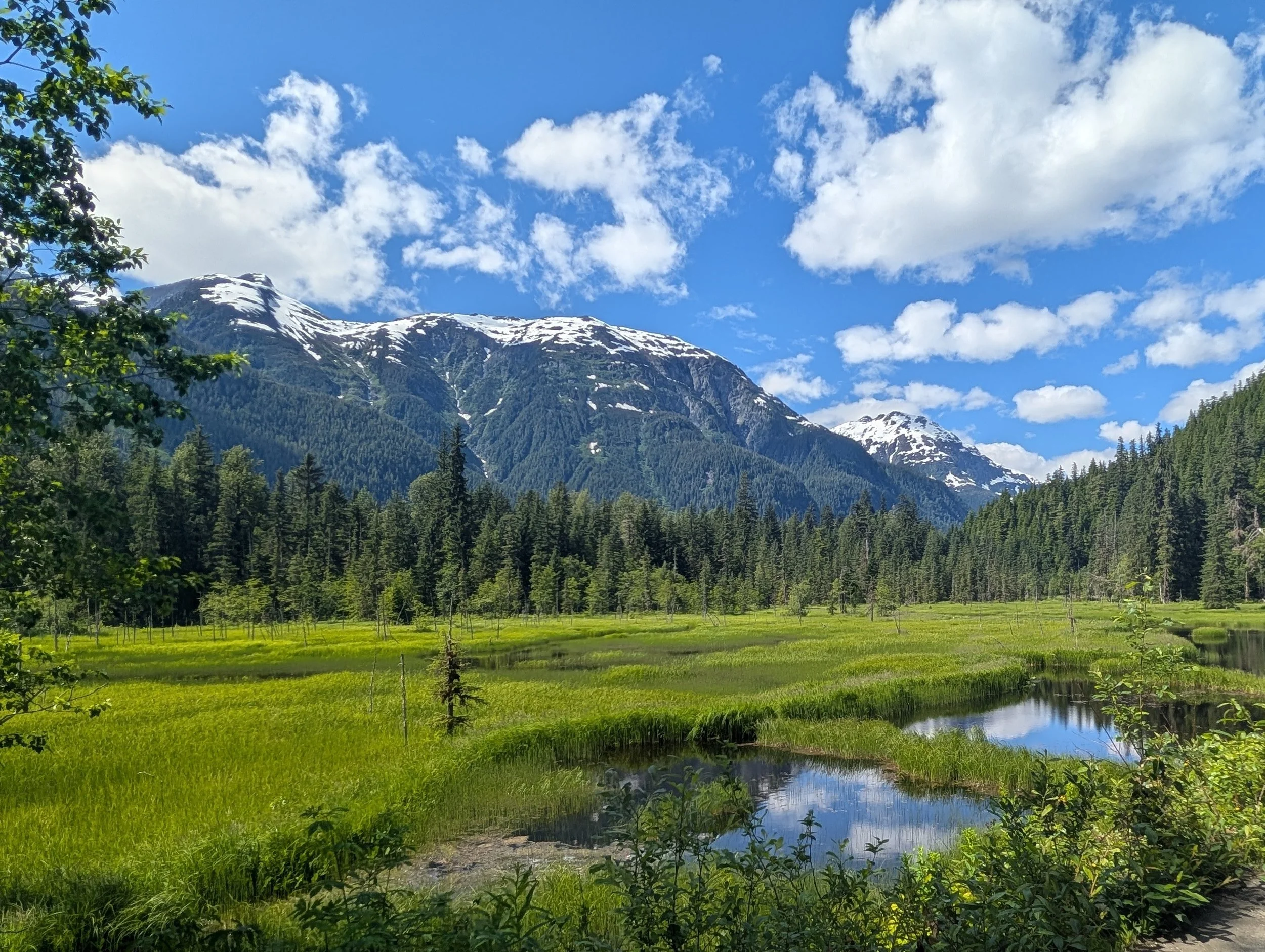 PXL_20260702_222950448 (2).jpg