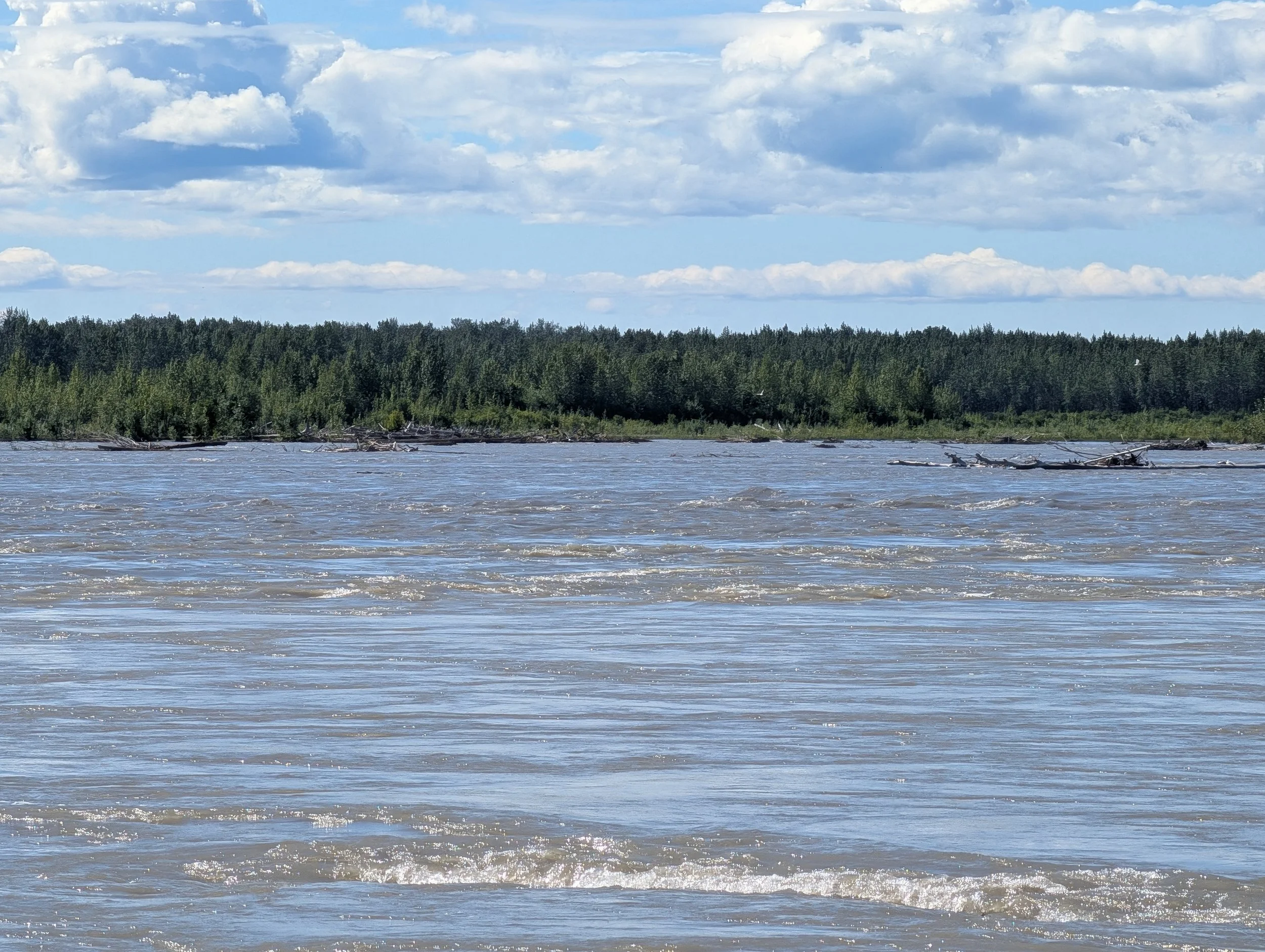 PXL_20260724_223156624.jpg