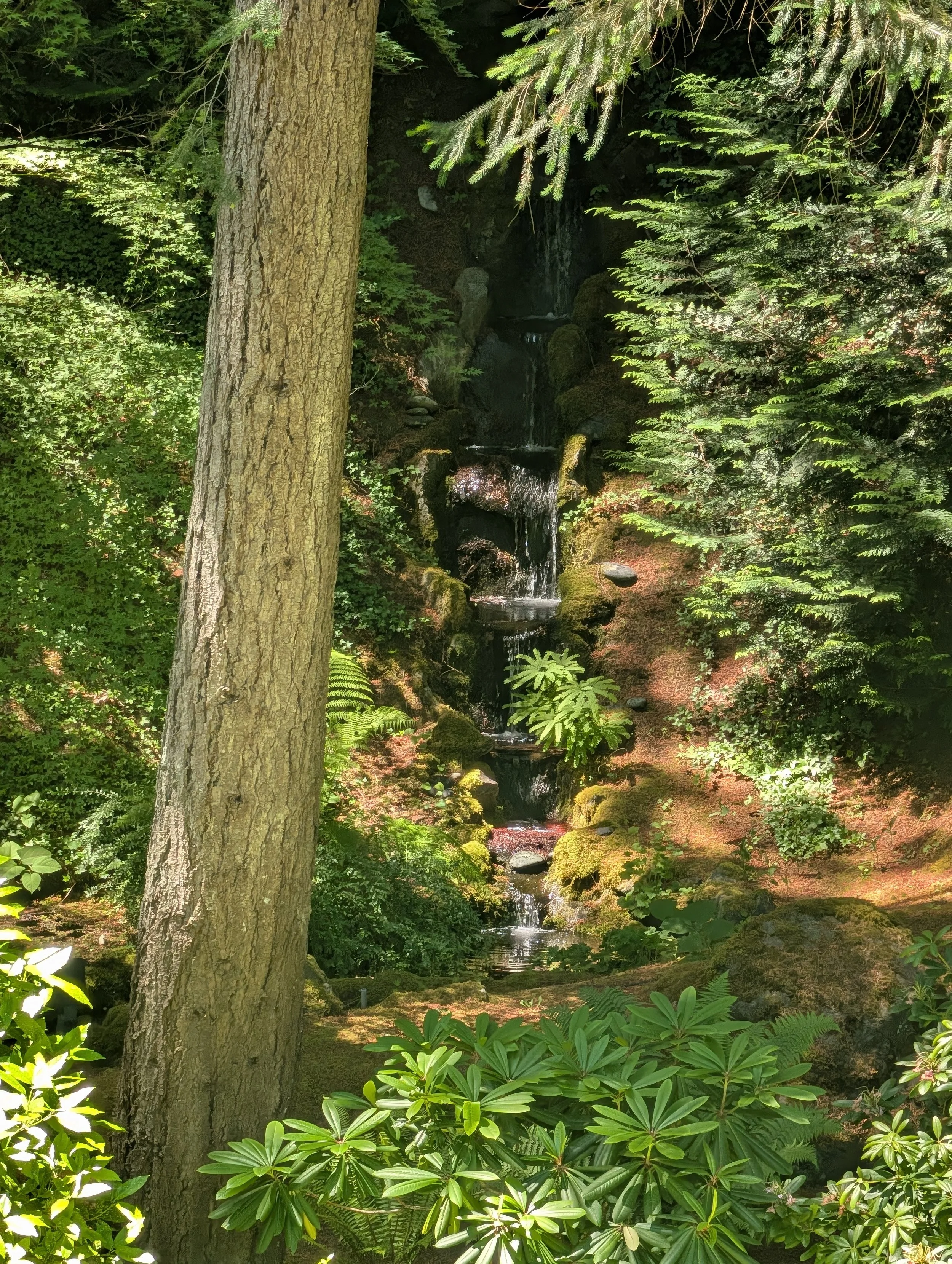PXL_20260613_192932068.jpg
