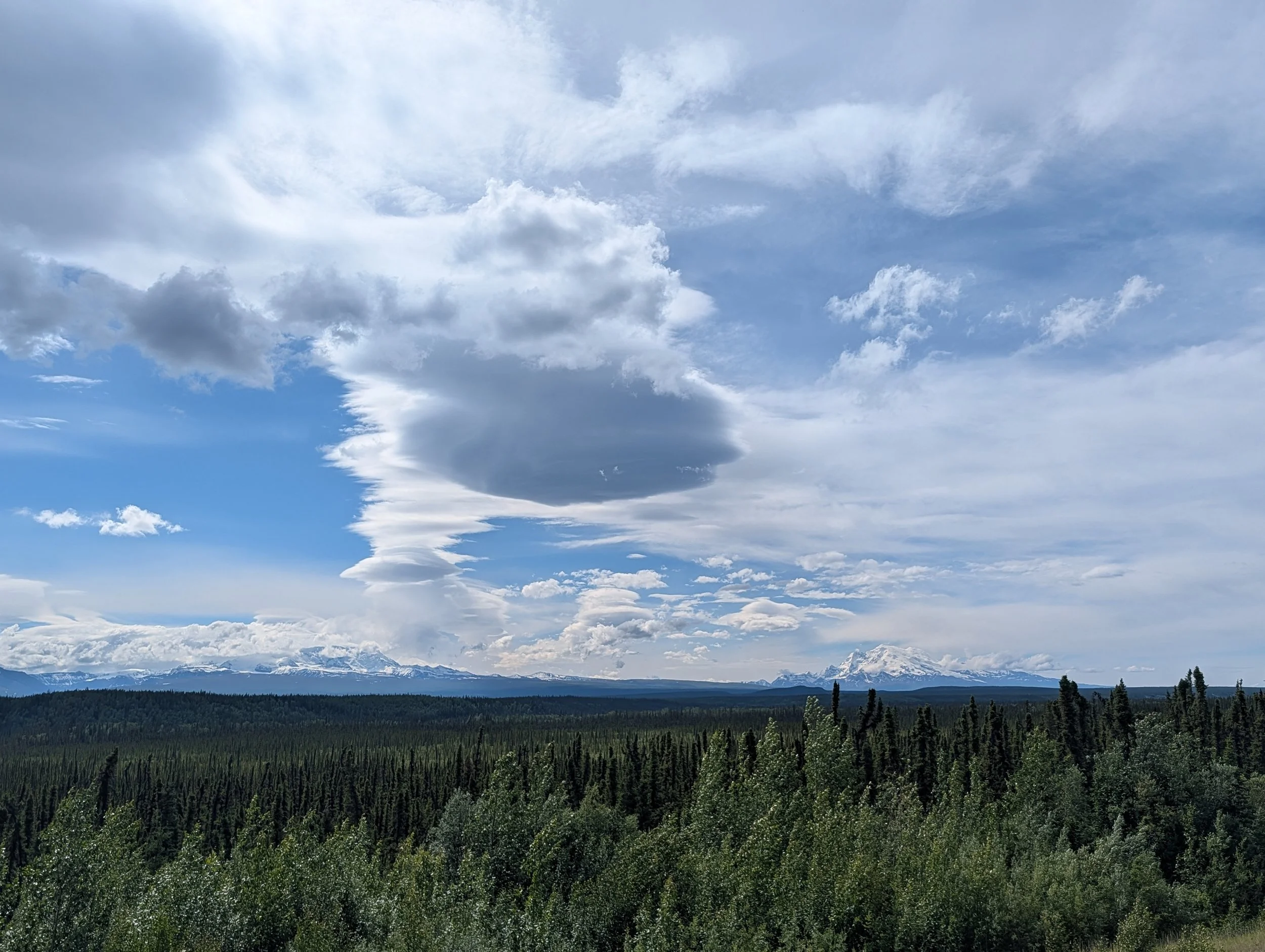 PXL_20260706_194206841.jpg