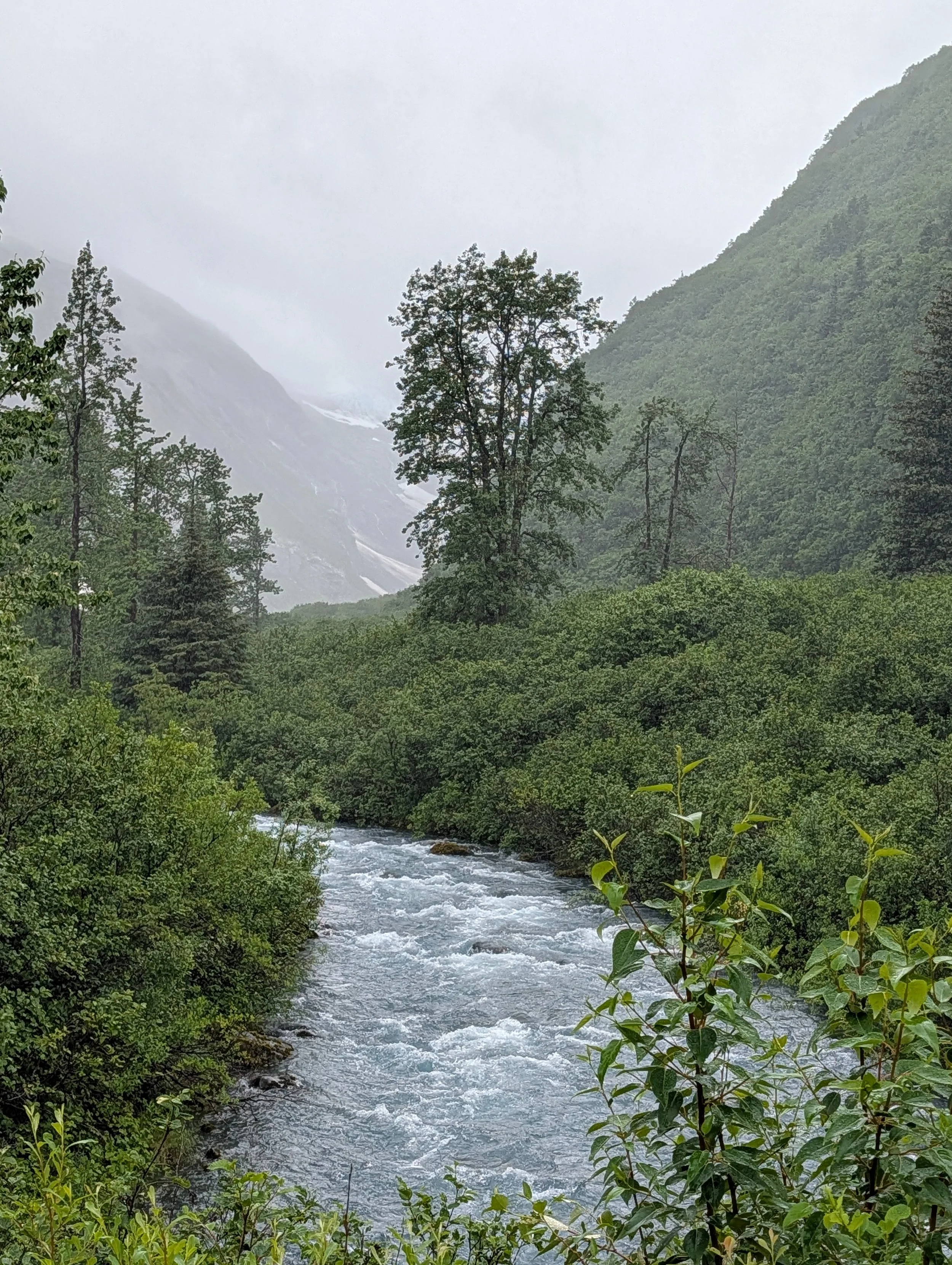 PXL_20260713_231731320.jpg