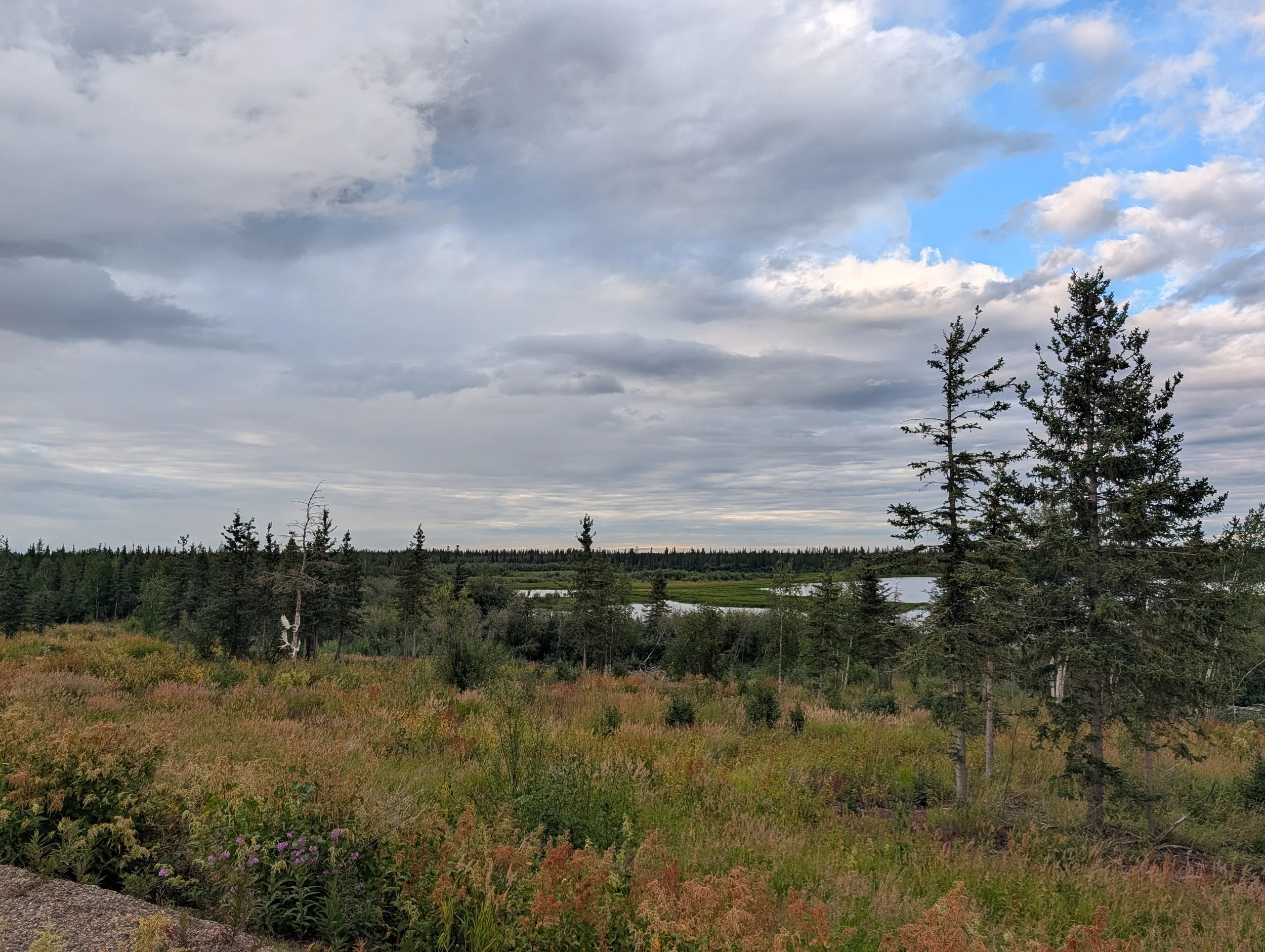 PXL_20260808_324456588.jpg
