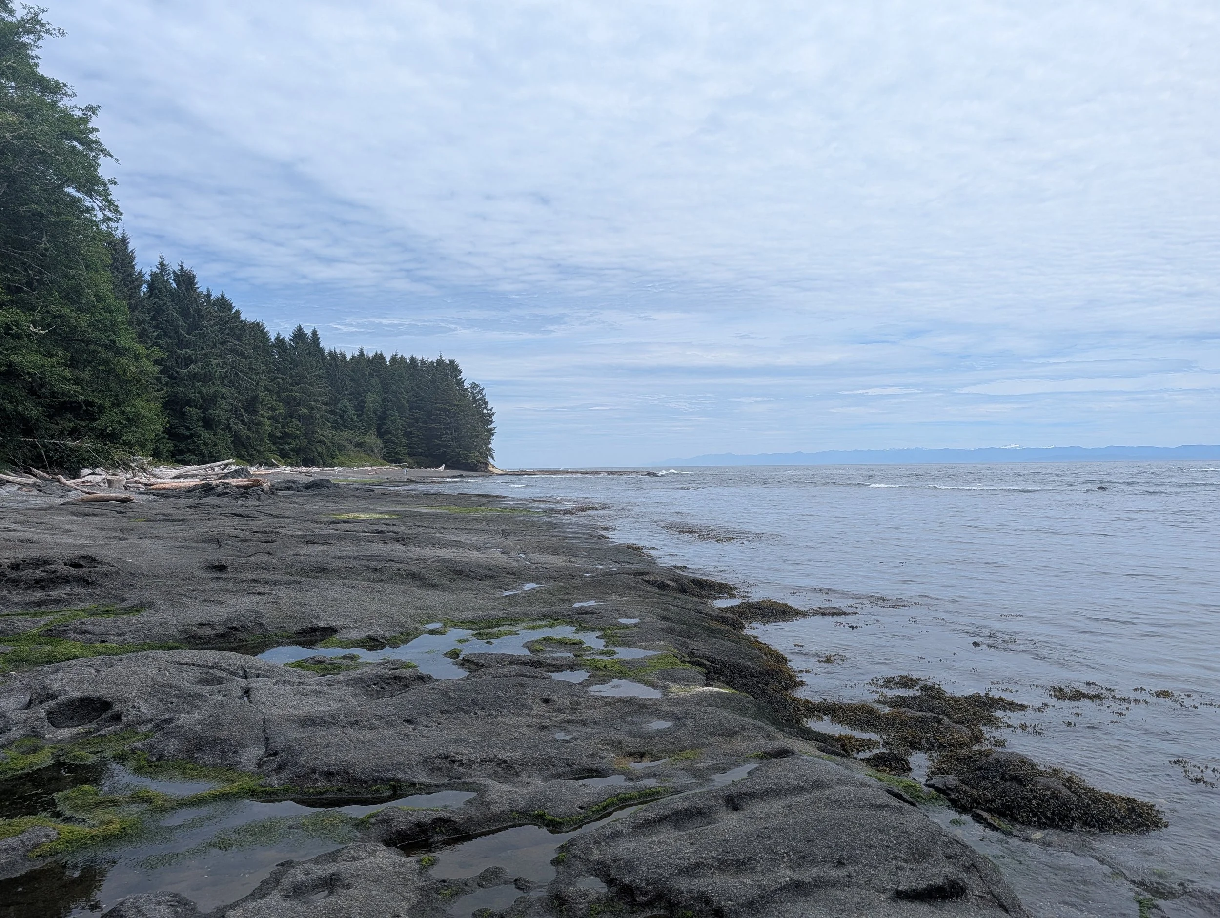 PXL_20260615_214934515.jpg