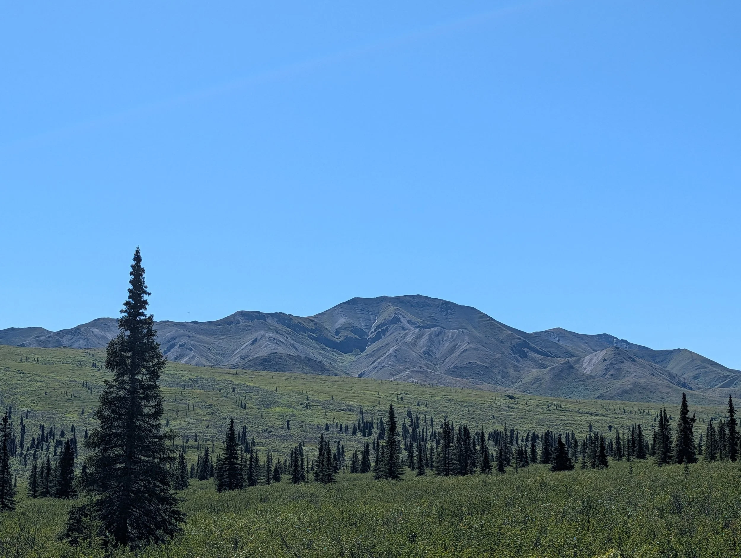 PXL_20260725_215337894.jpg