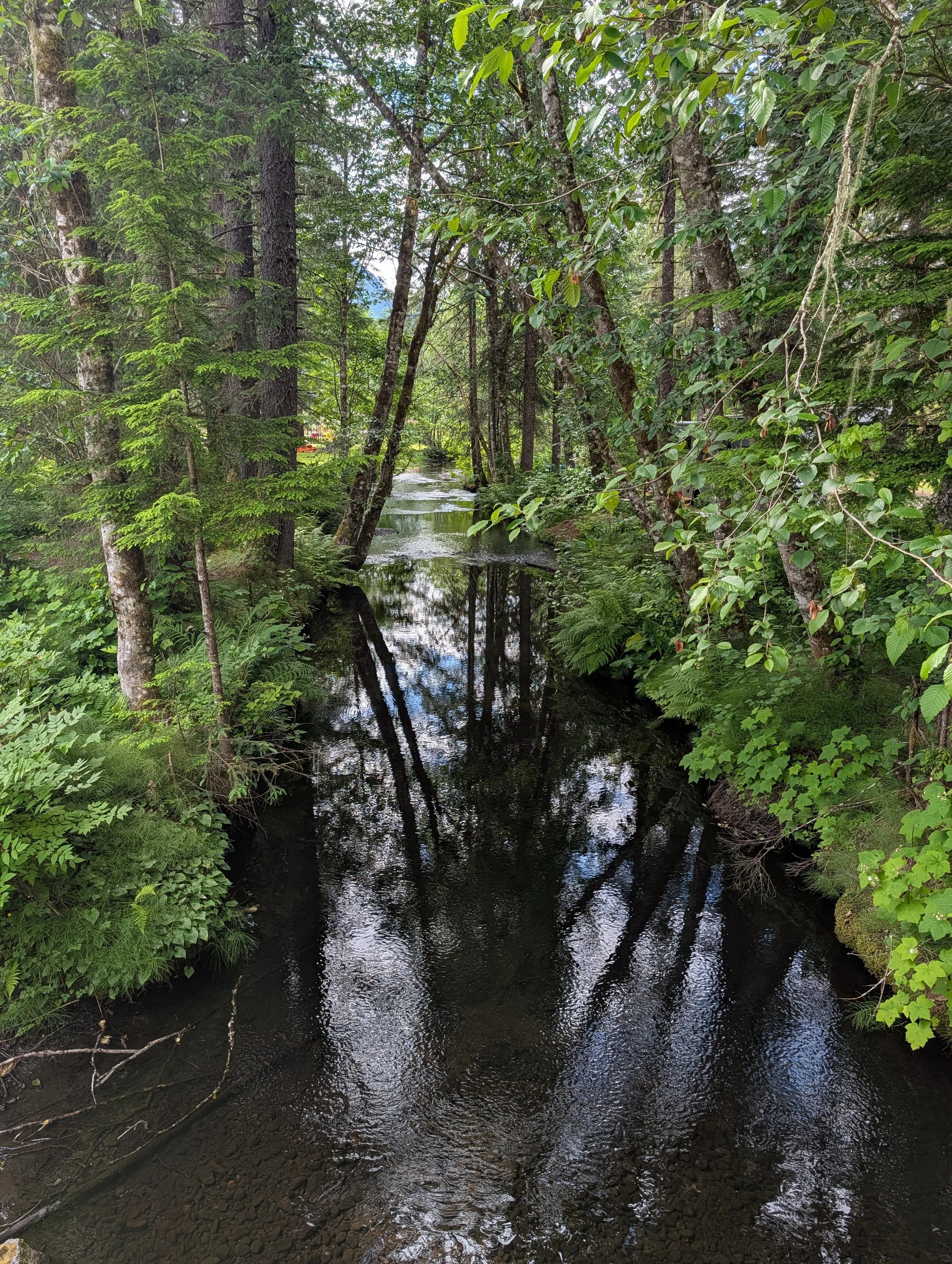 PXL_20260702_181413729.jpg
