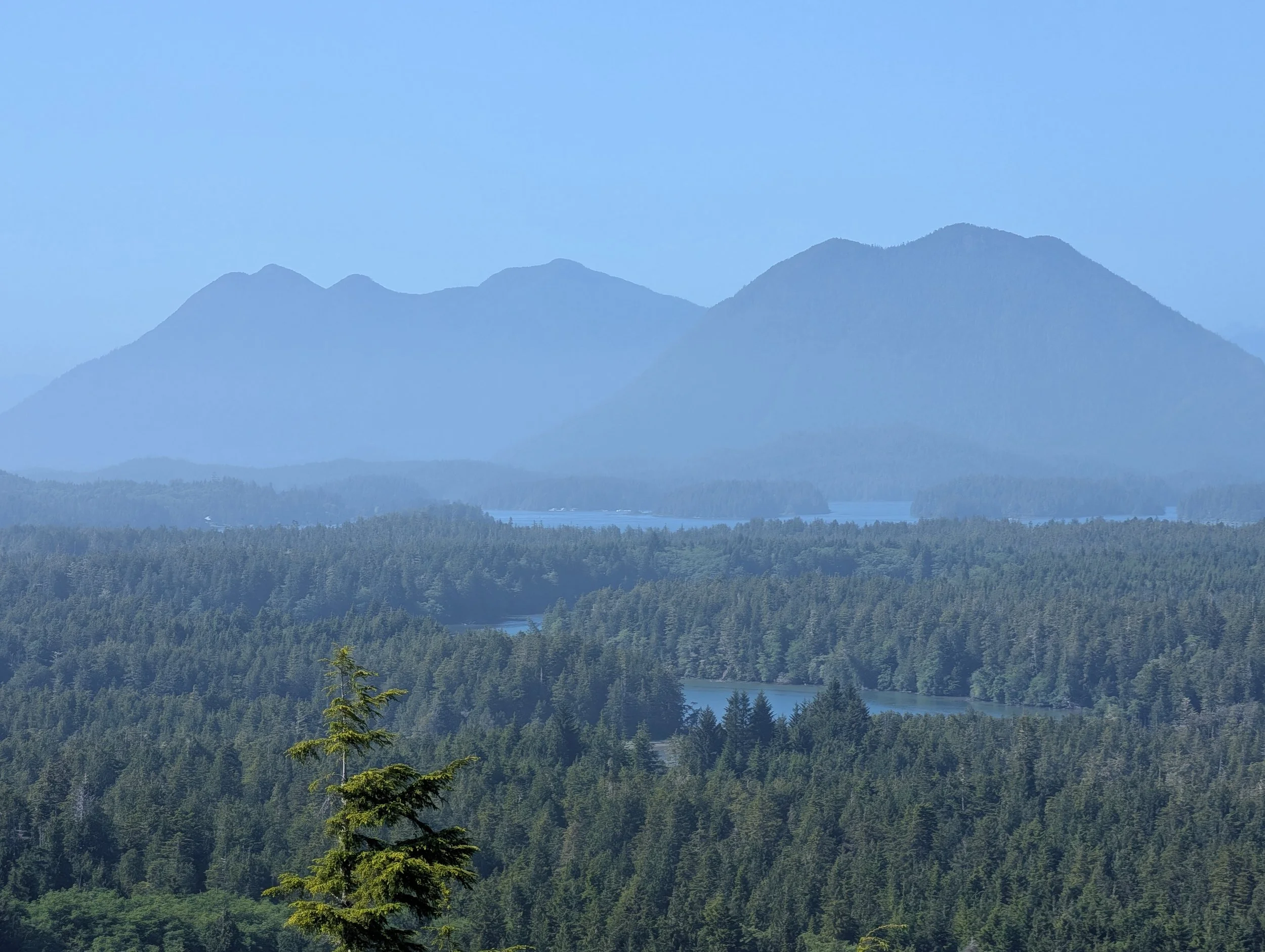 PXL_20260620_234857298.jpg