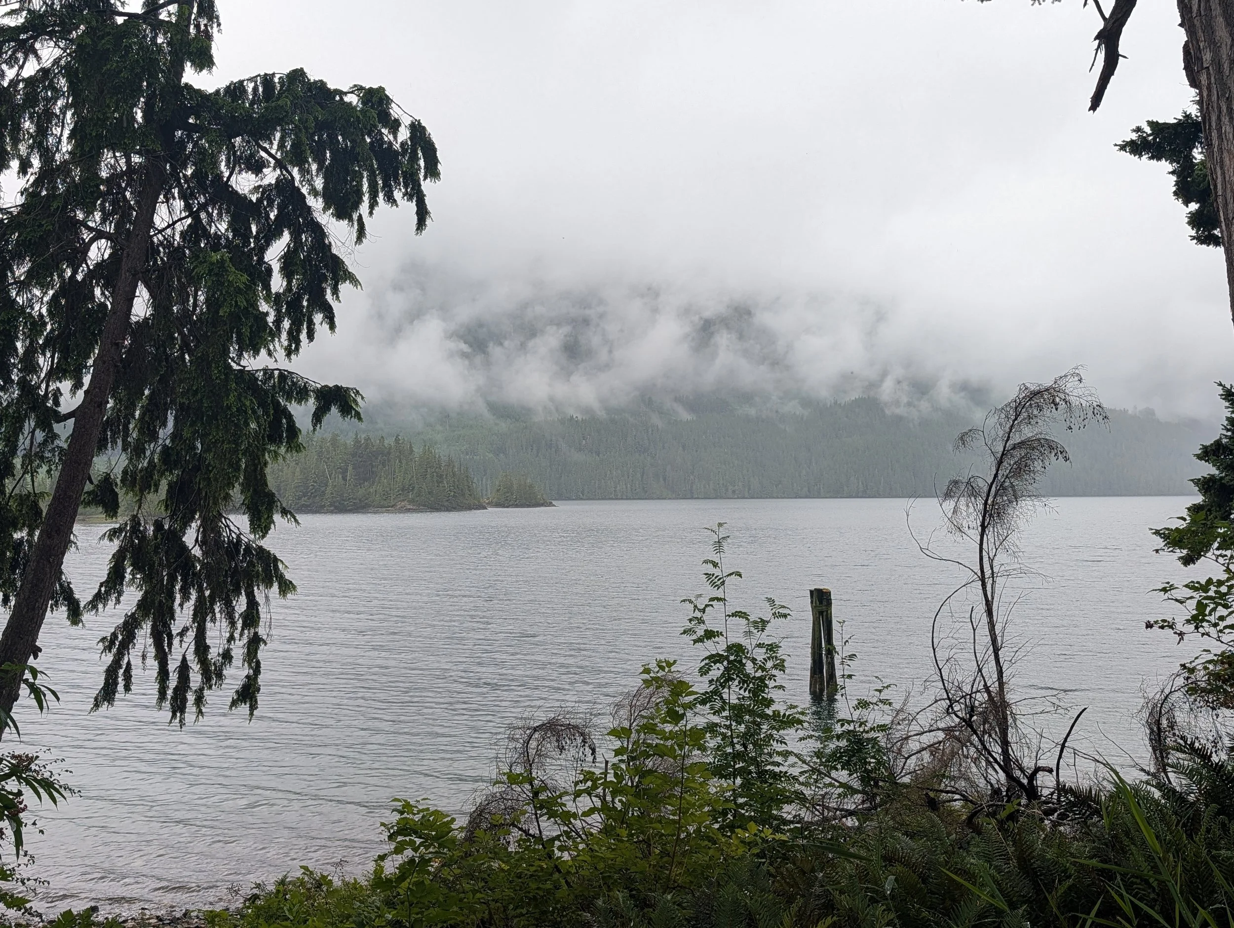 PXL_20260626_210047509.jpg