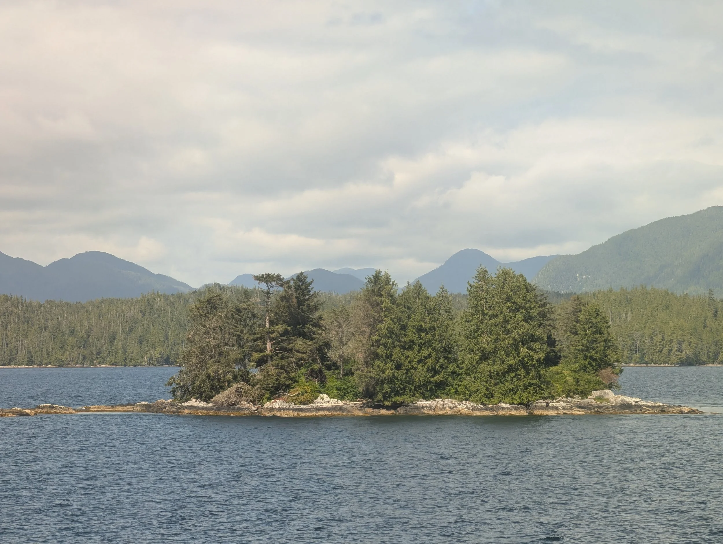 PXL_20260629_220633554.jpg