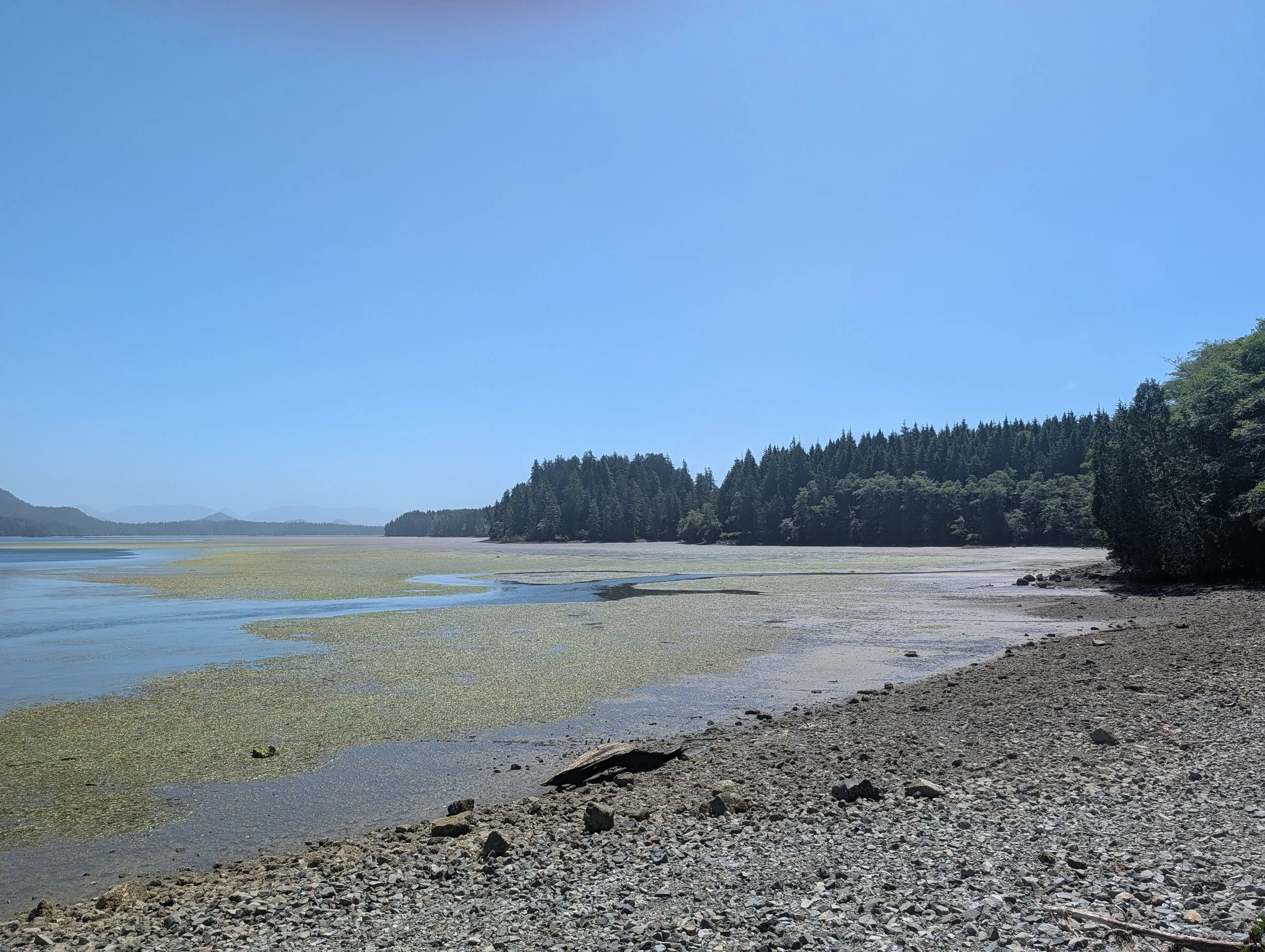 PXL_20260620_194613573.jpg