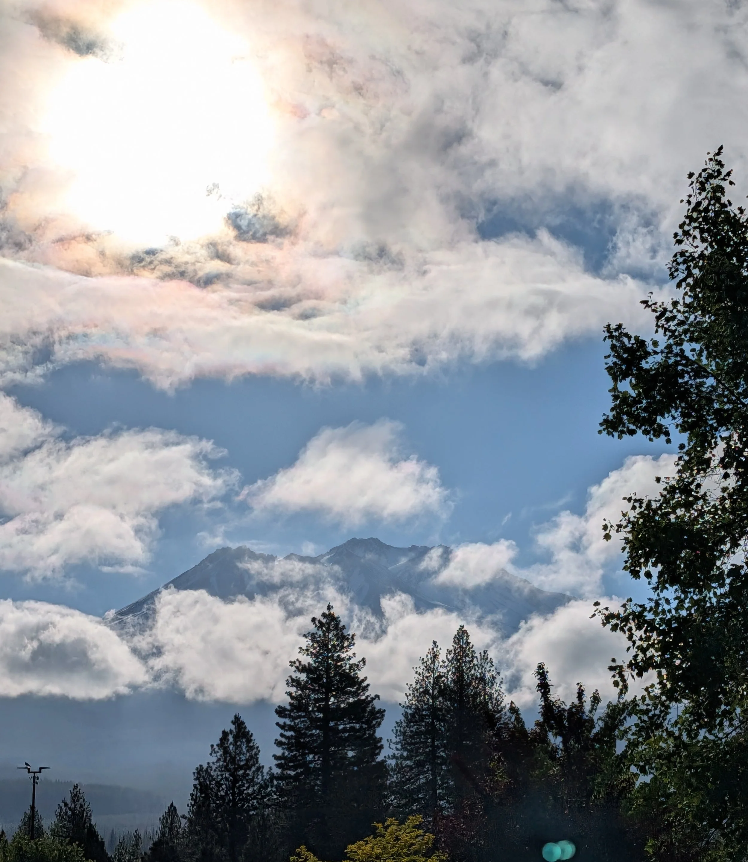 PXL_20260606_145226720.jpg