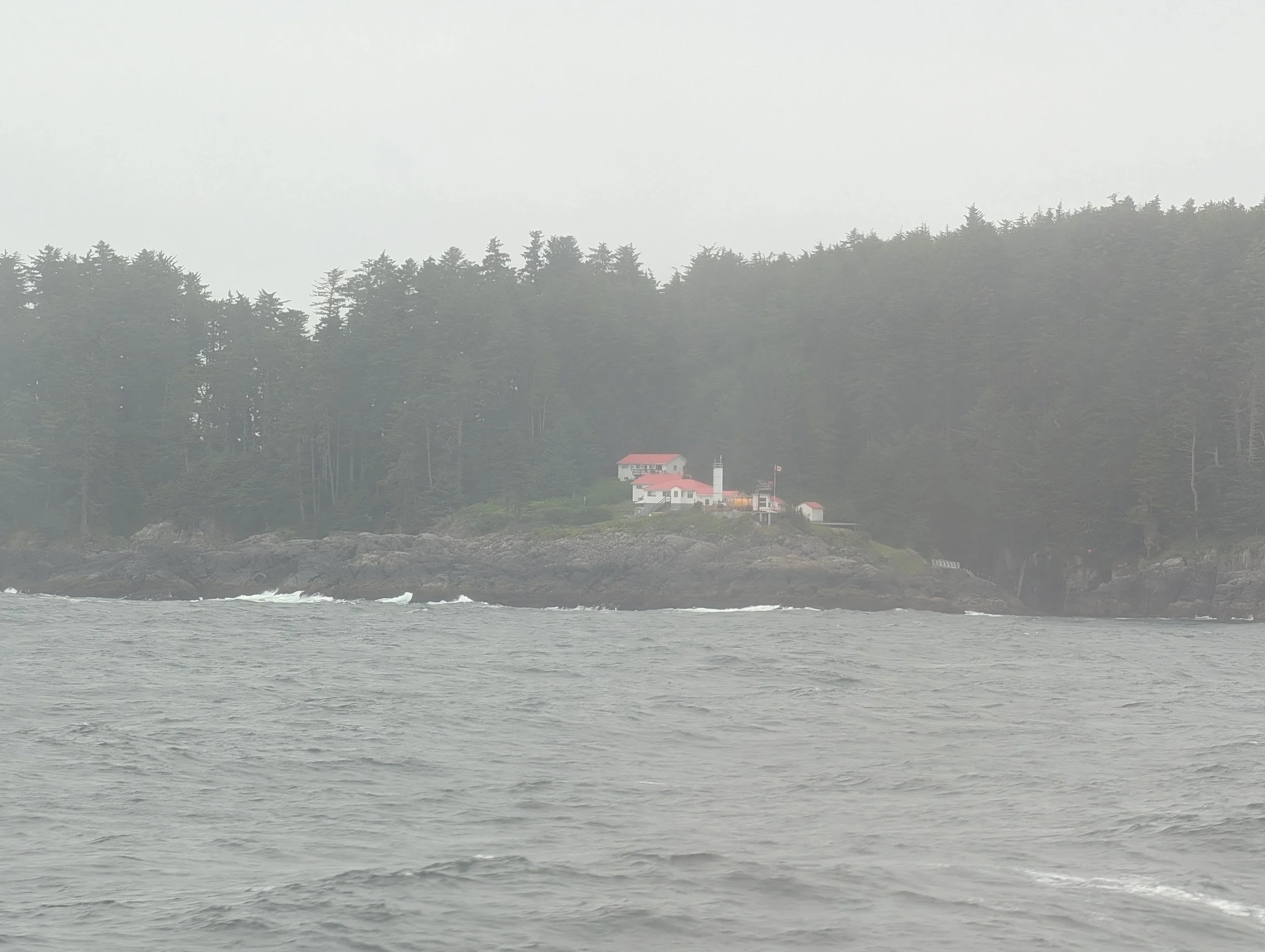 PXL_20260629_160406237.jpg