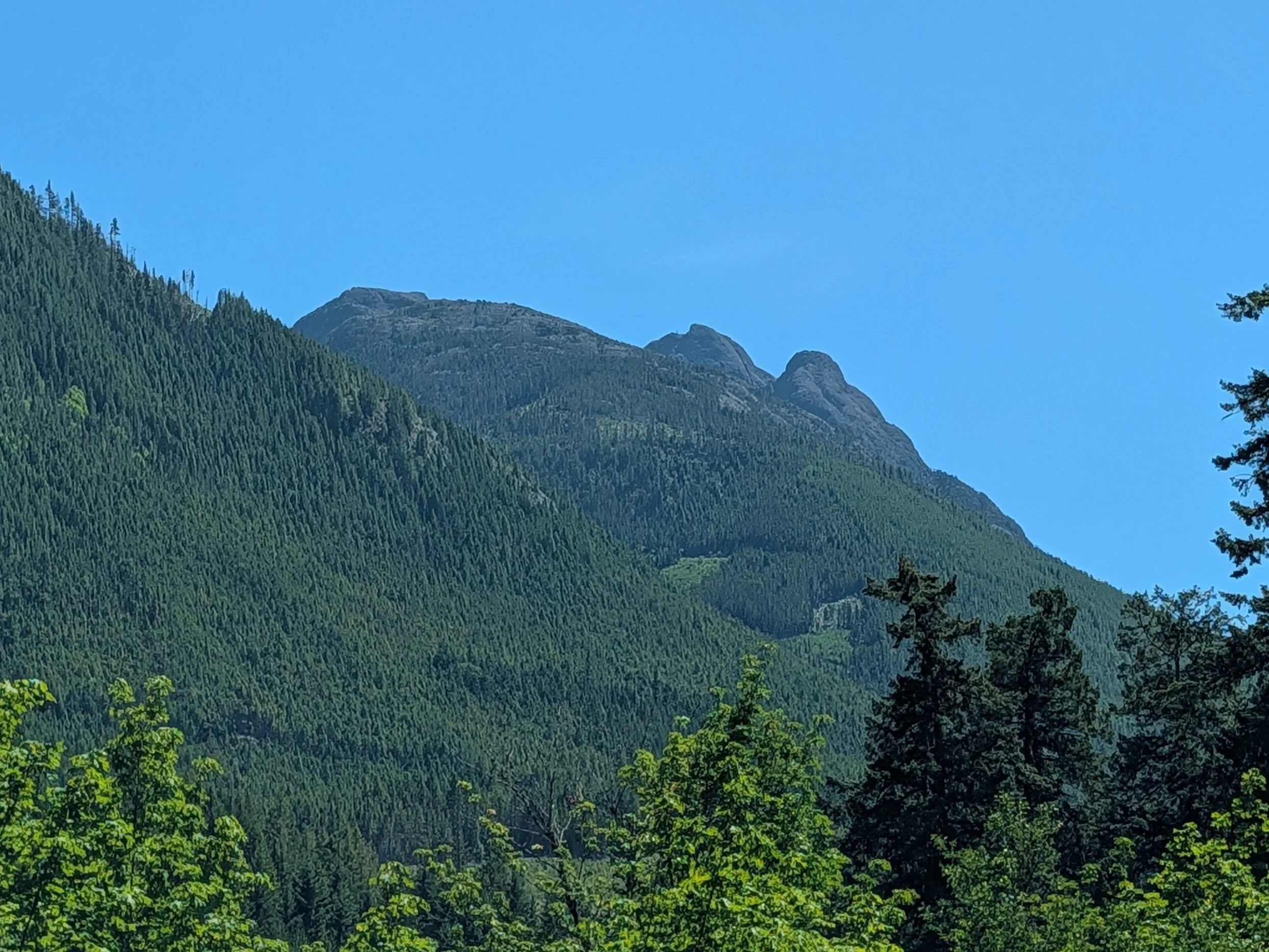 original_e1859d7c-255f-47f3-a3e4-df5f2fc451c9_PXL_20260618_200008472.jpg