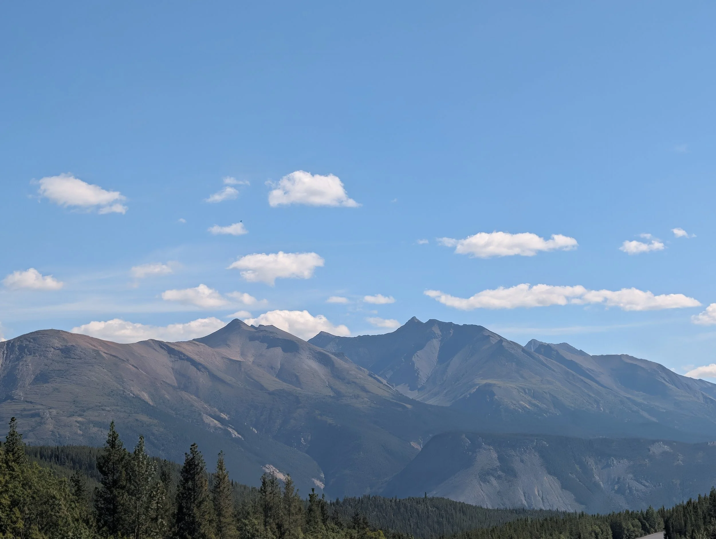 PXL_20260820_215253483.jpg