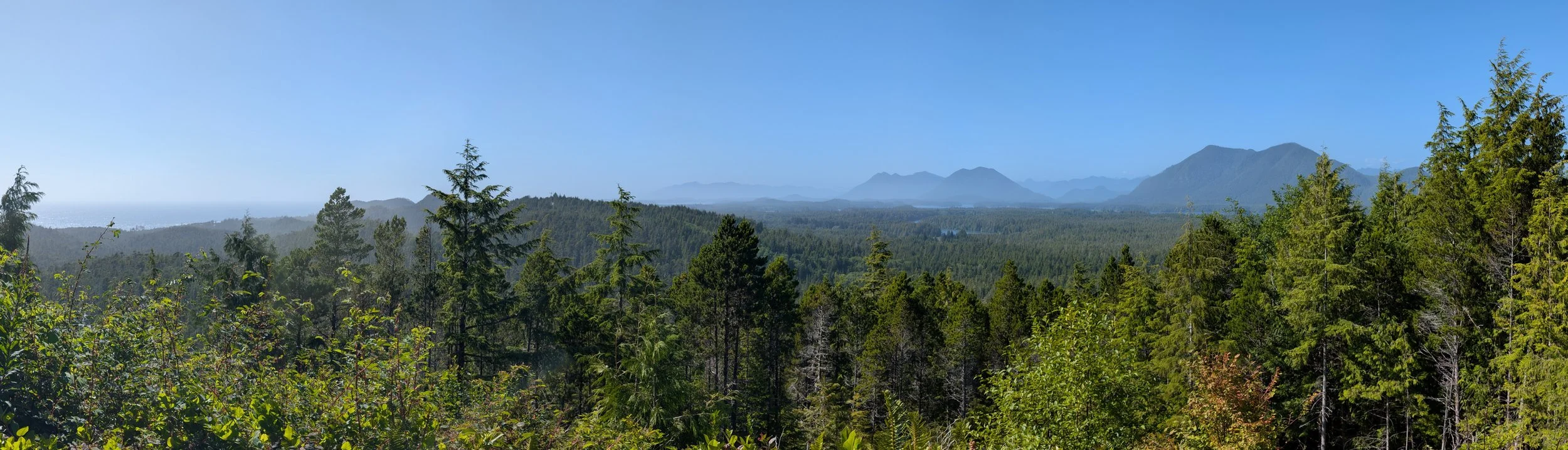 PXL_20260620_234802293.PANO.jpg