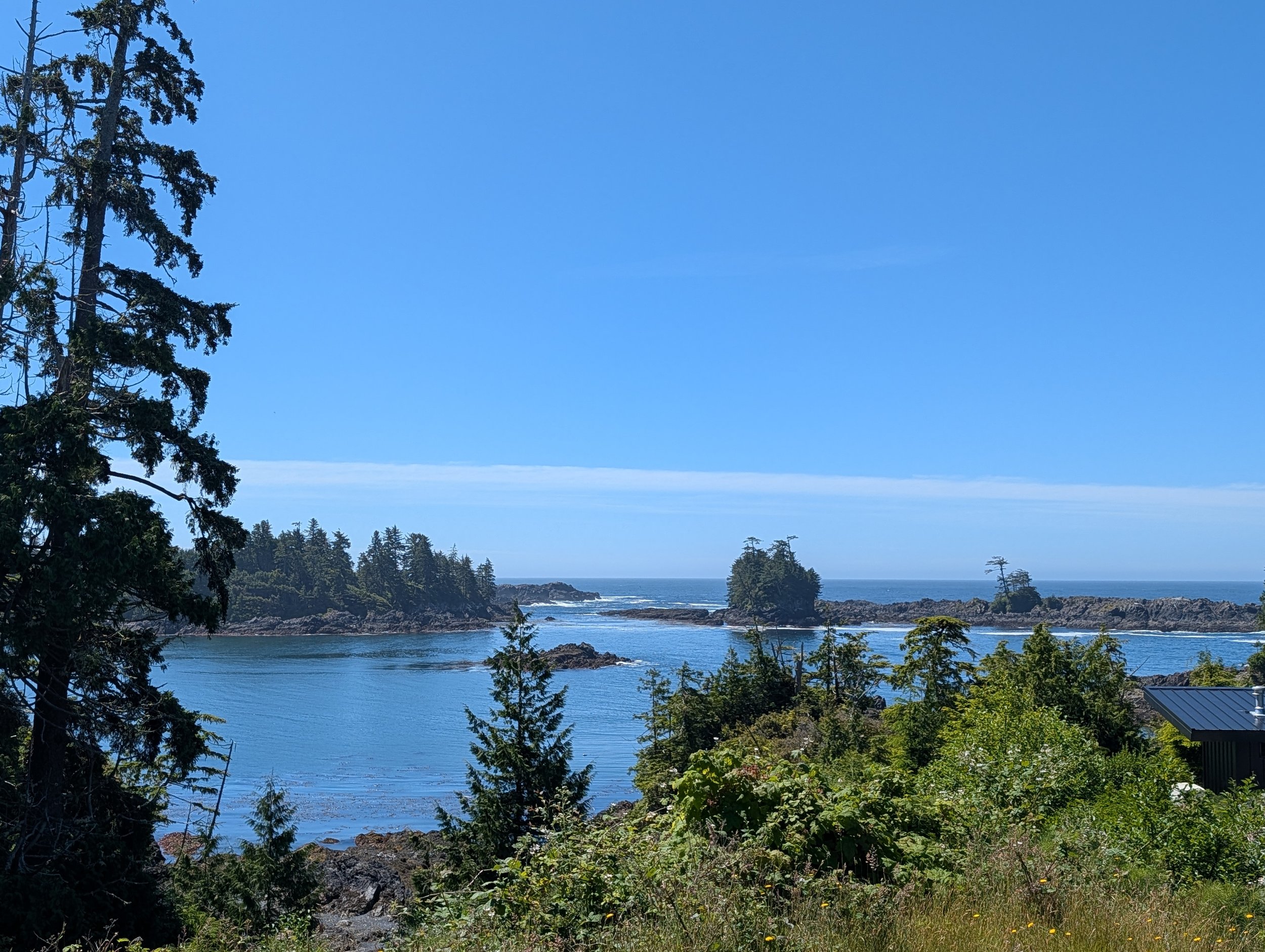 PXL_20260619_182401018.jpg